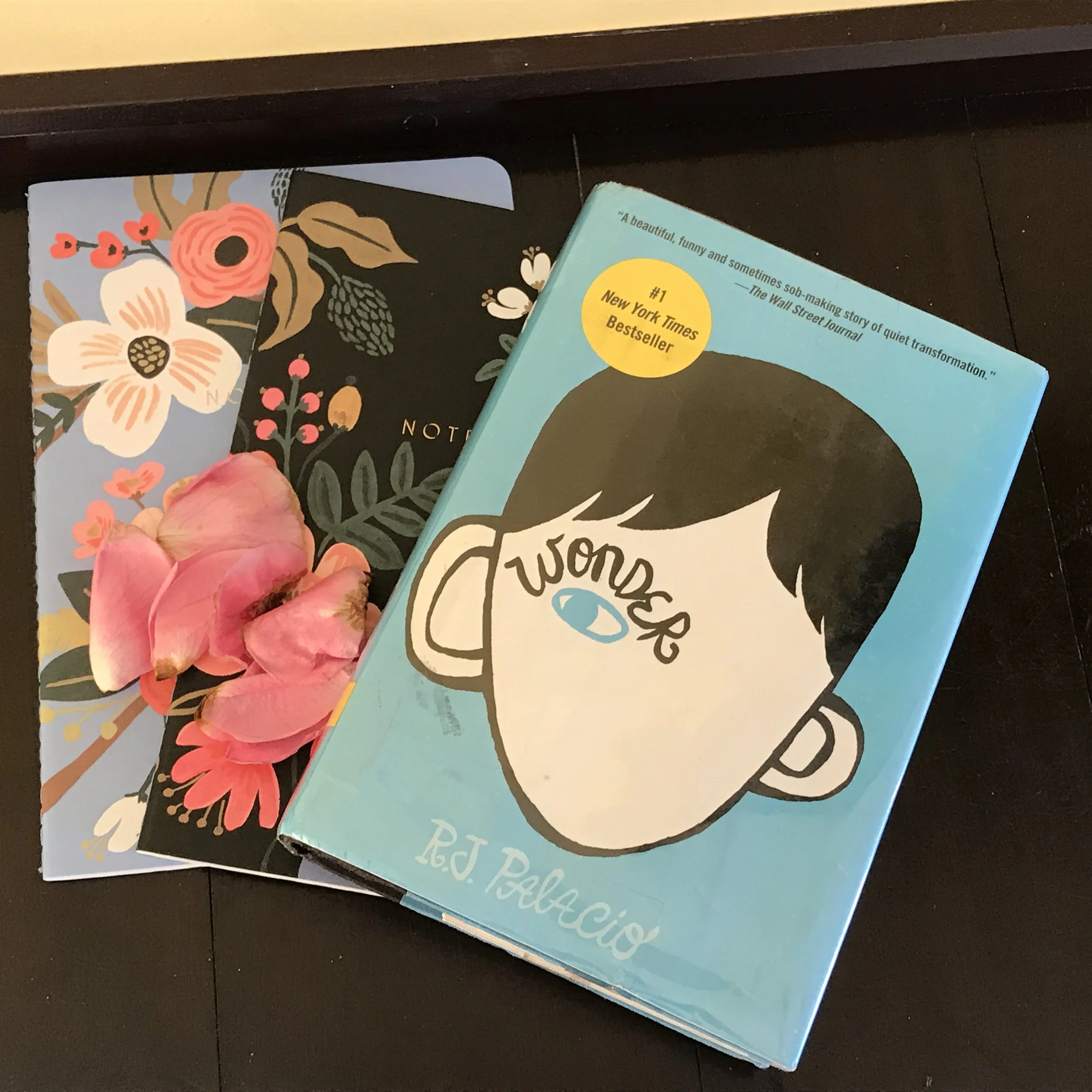 Wonder Read-Along Part 1