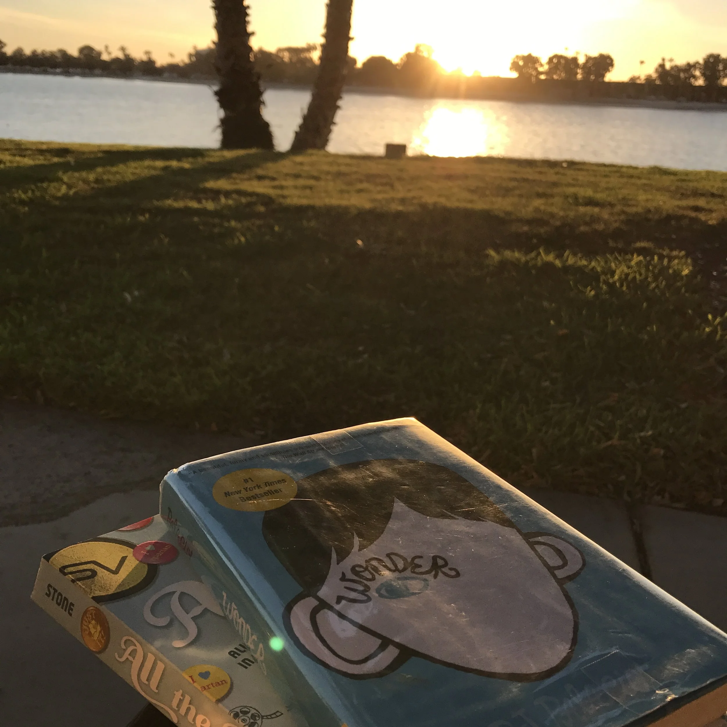 Wonder Read-Along, Part 2