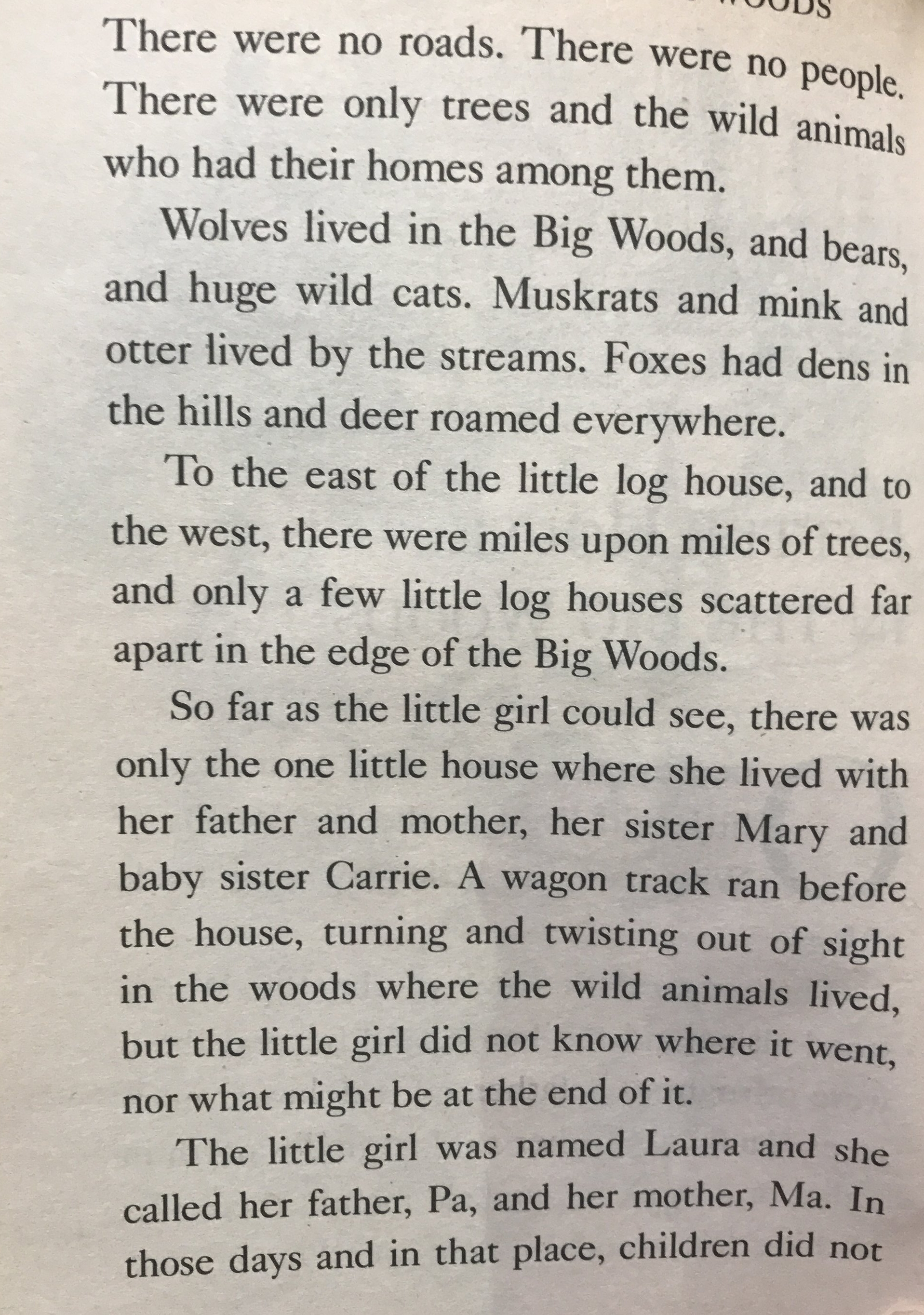 Little House Excerpt 2.JPG