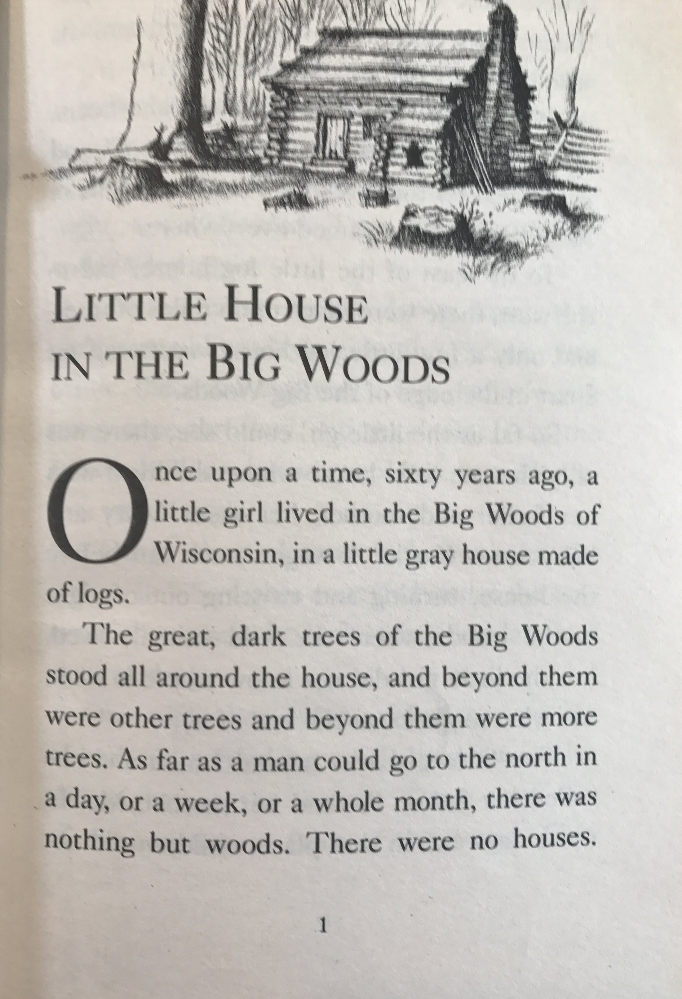 Little House Excerpt 1.JPG