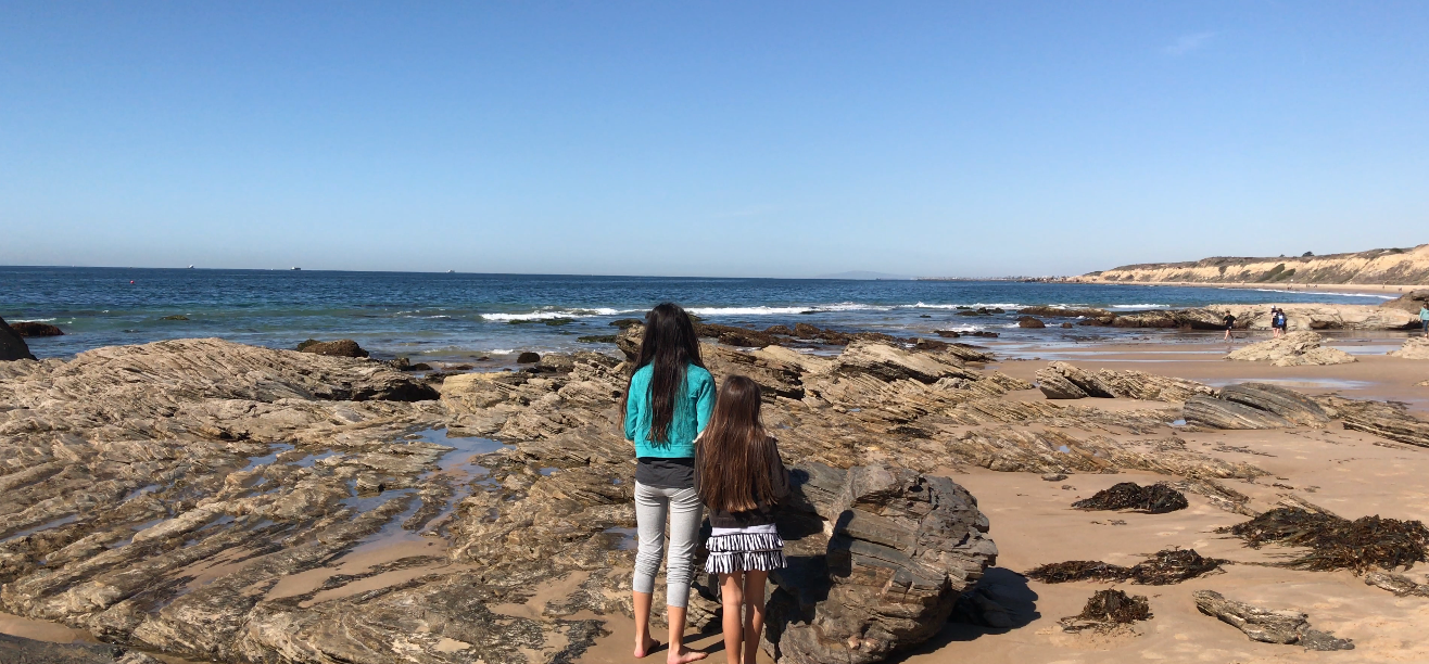 Making Summer Reading Fun!