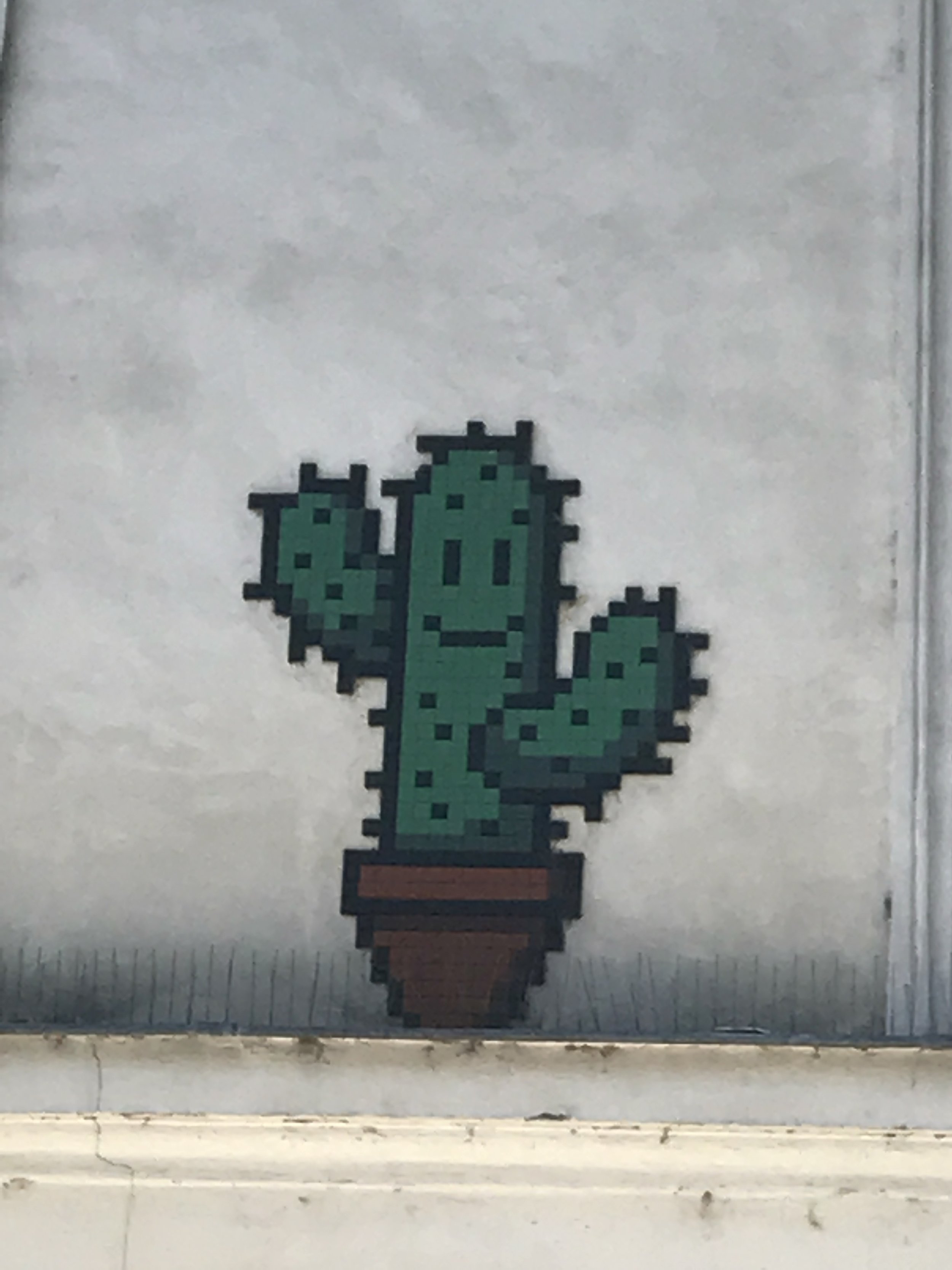 Dr Bookworm Space Invaders Mosaics Paris Cactus.JPG