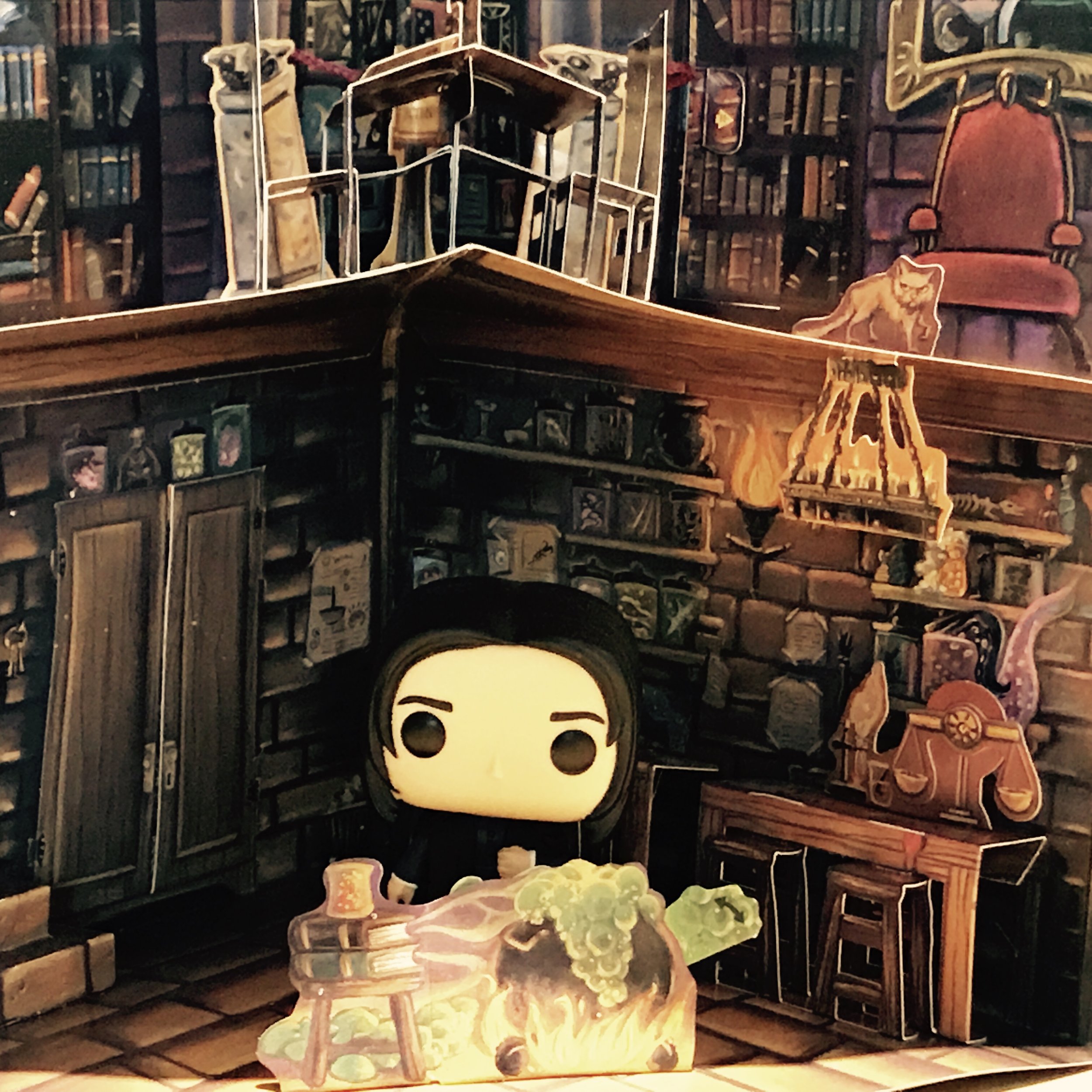 Snape Funko Potion Room Dr Bookworm.jpg
