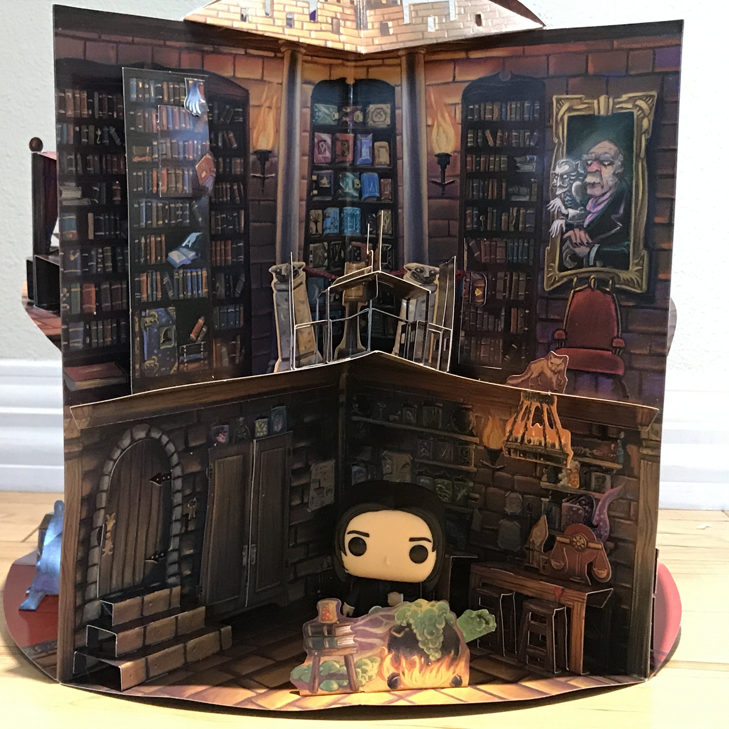 Snape Funko Potion Room Dr Bookworm2.JPG