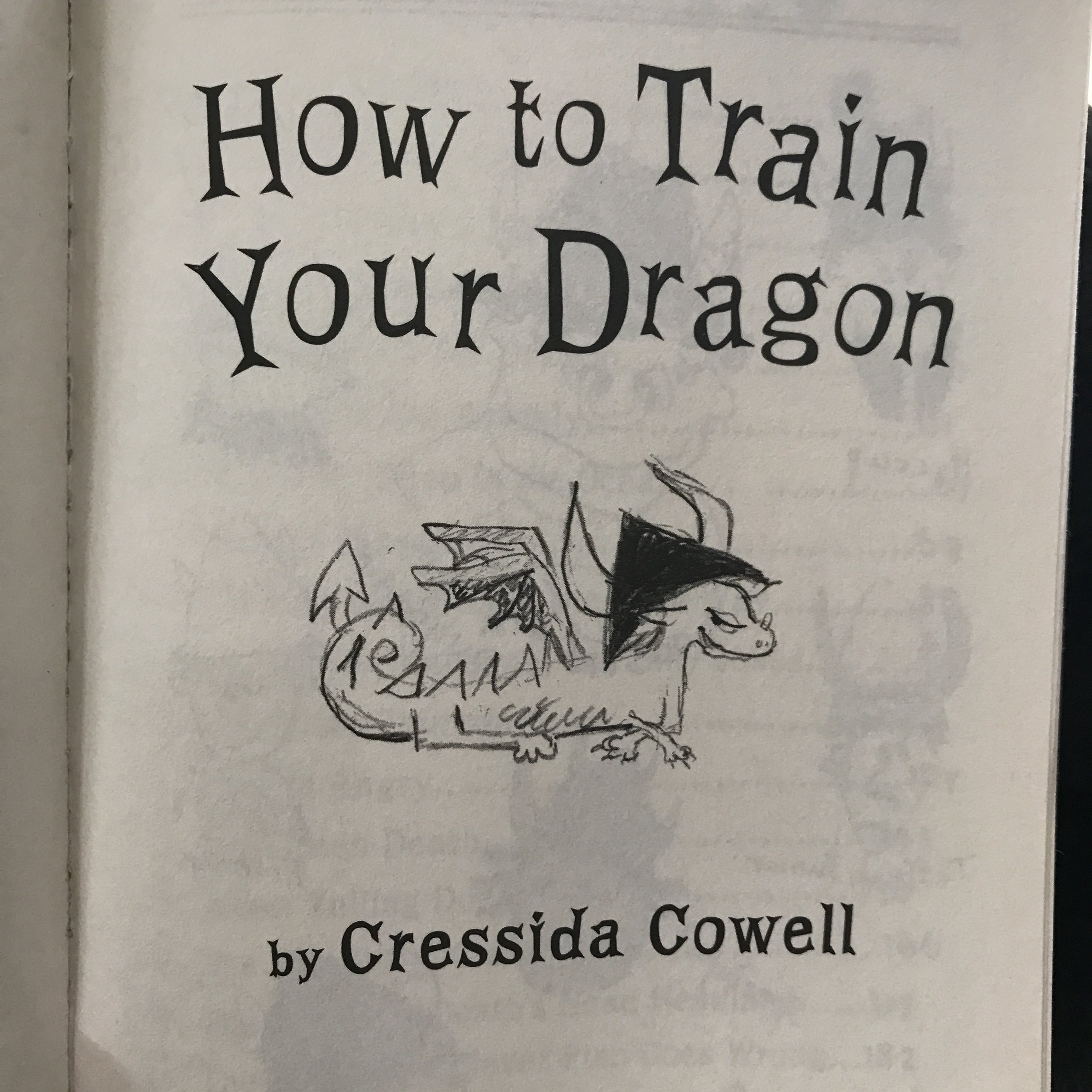 How to Train Your Dragon Excerpt1.JPG