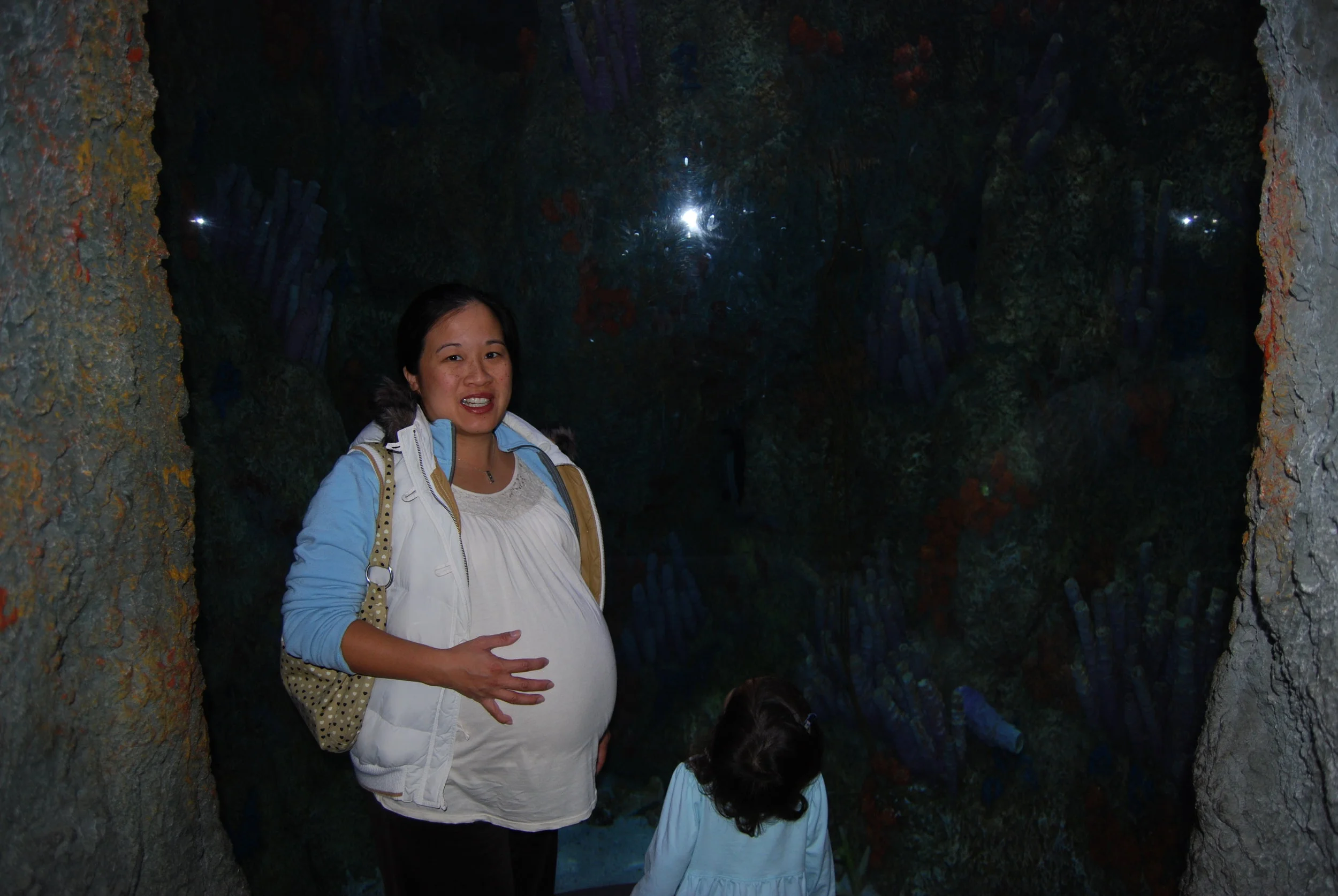Aquarium Jan 2, 2009 Pregnant with Macy.JPG