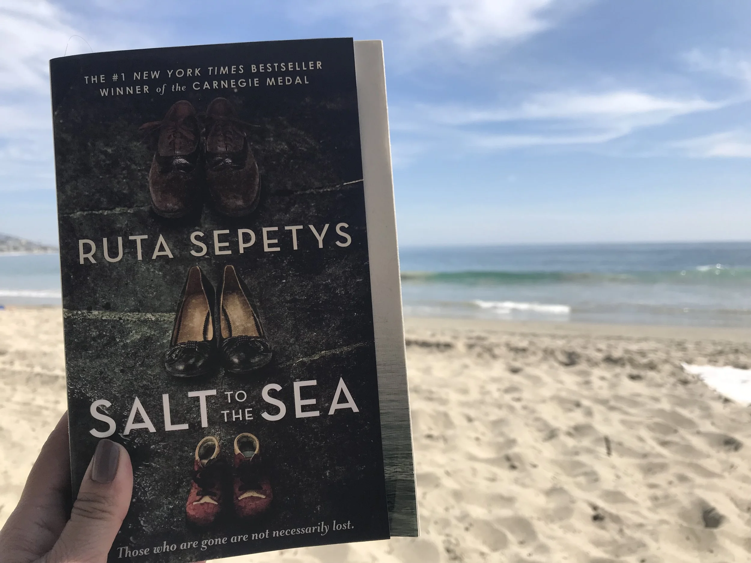 First Pages Salt To The Sea Dr Bookworm