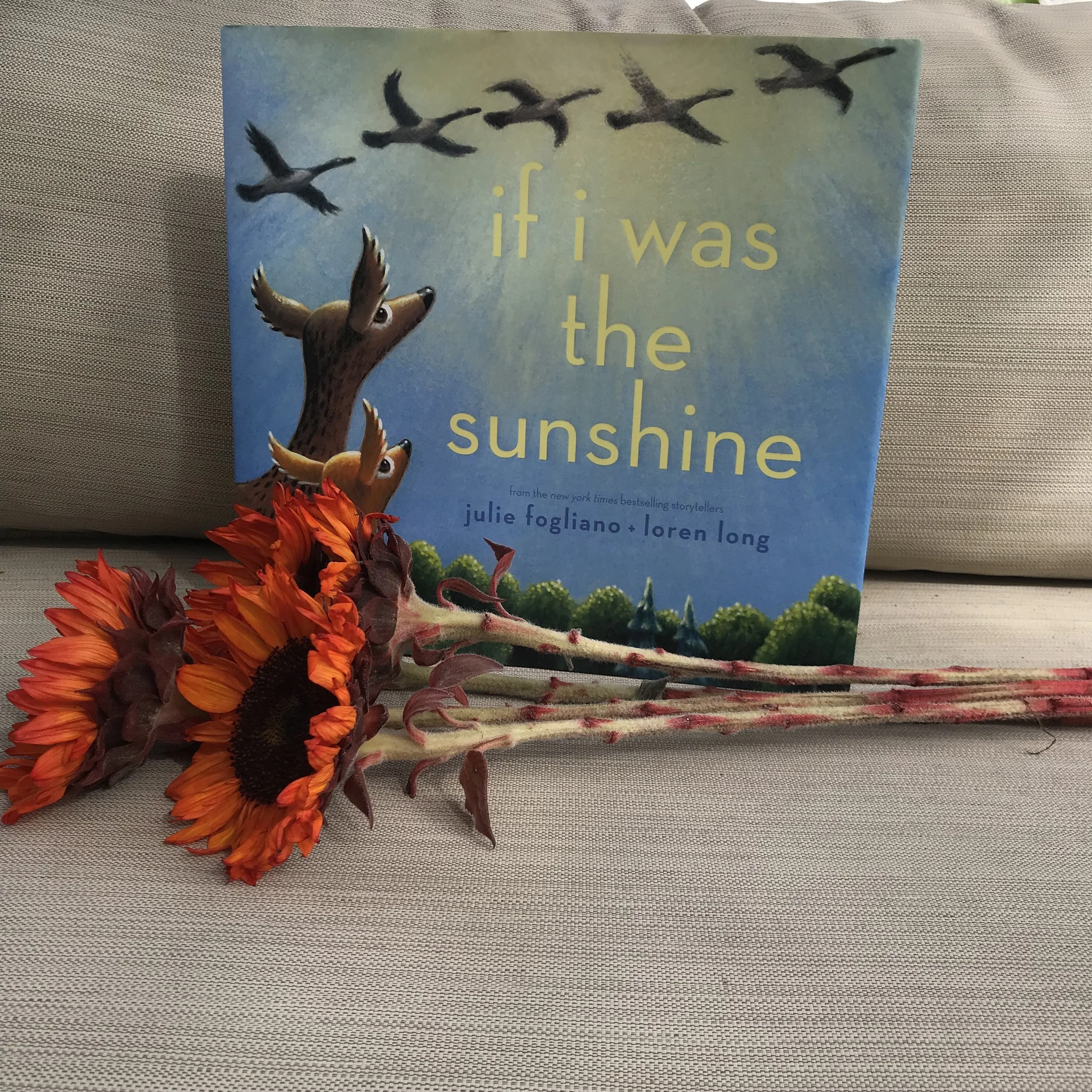 If I Was the Sunshine