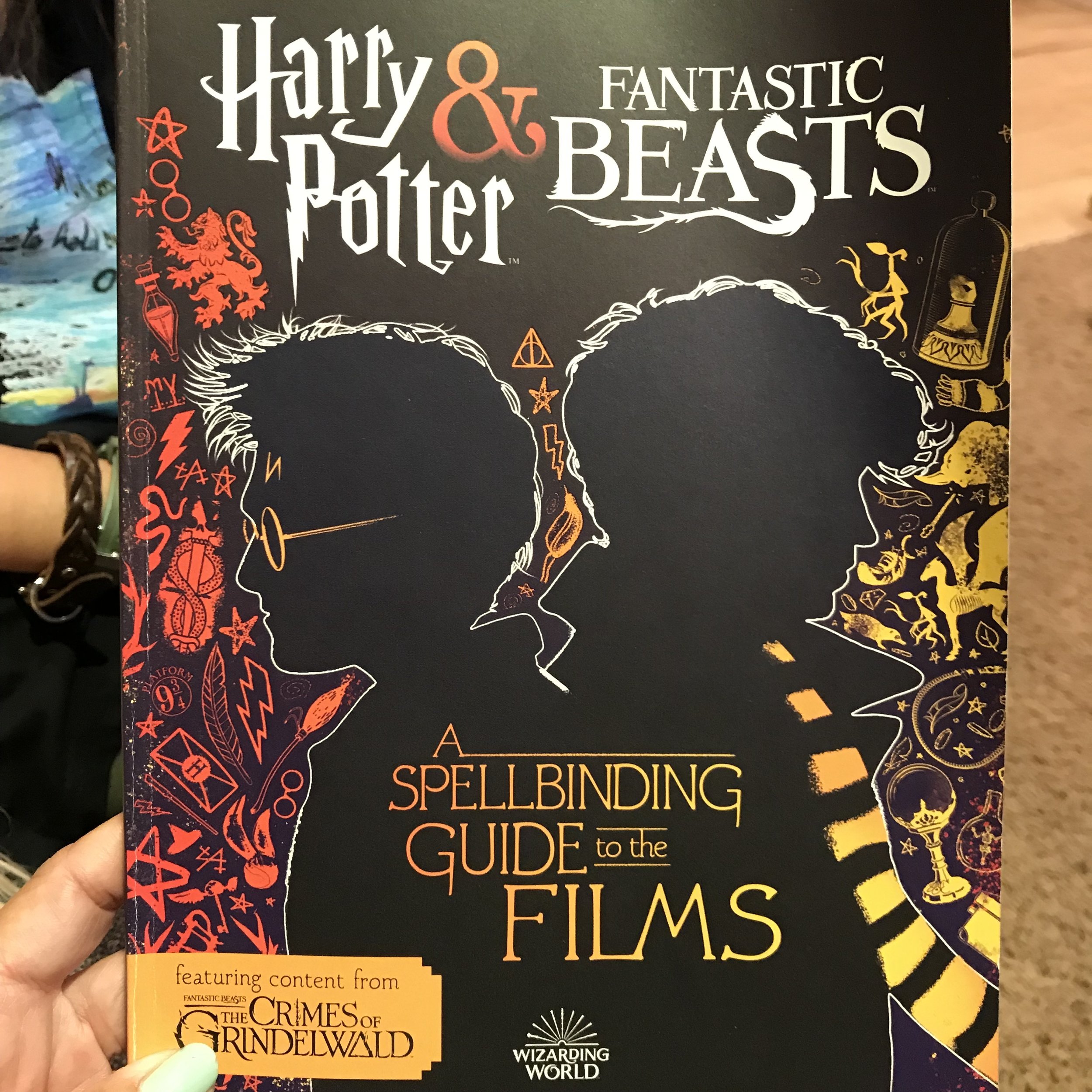 HP and Fantastic Beasts film guide Dr bookworm.jpg