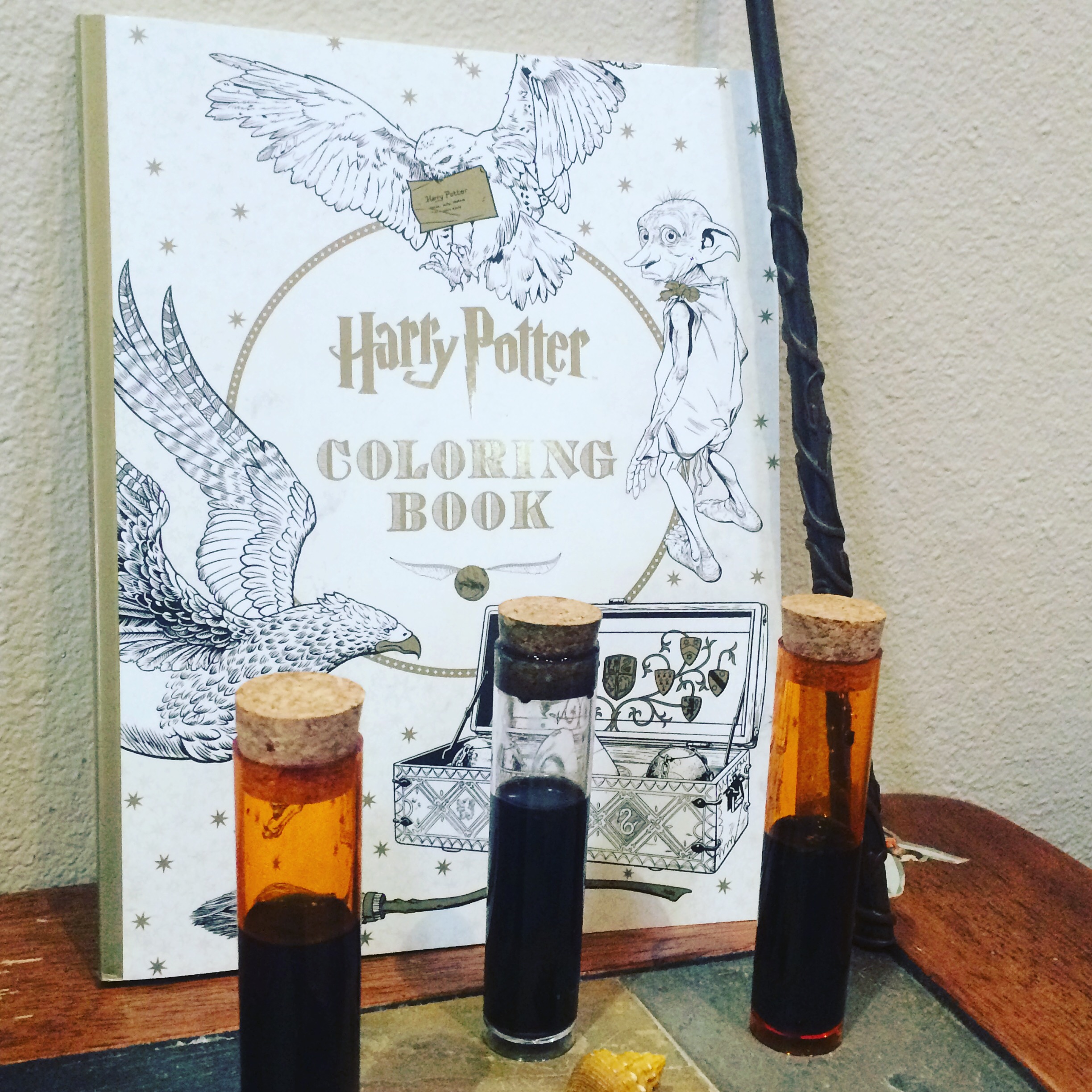 HP Coloring Book with Potions Dr Bookworm.JPG