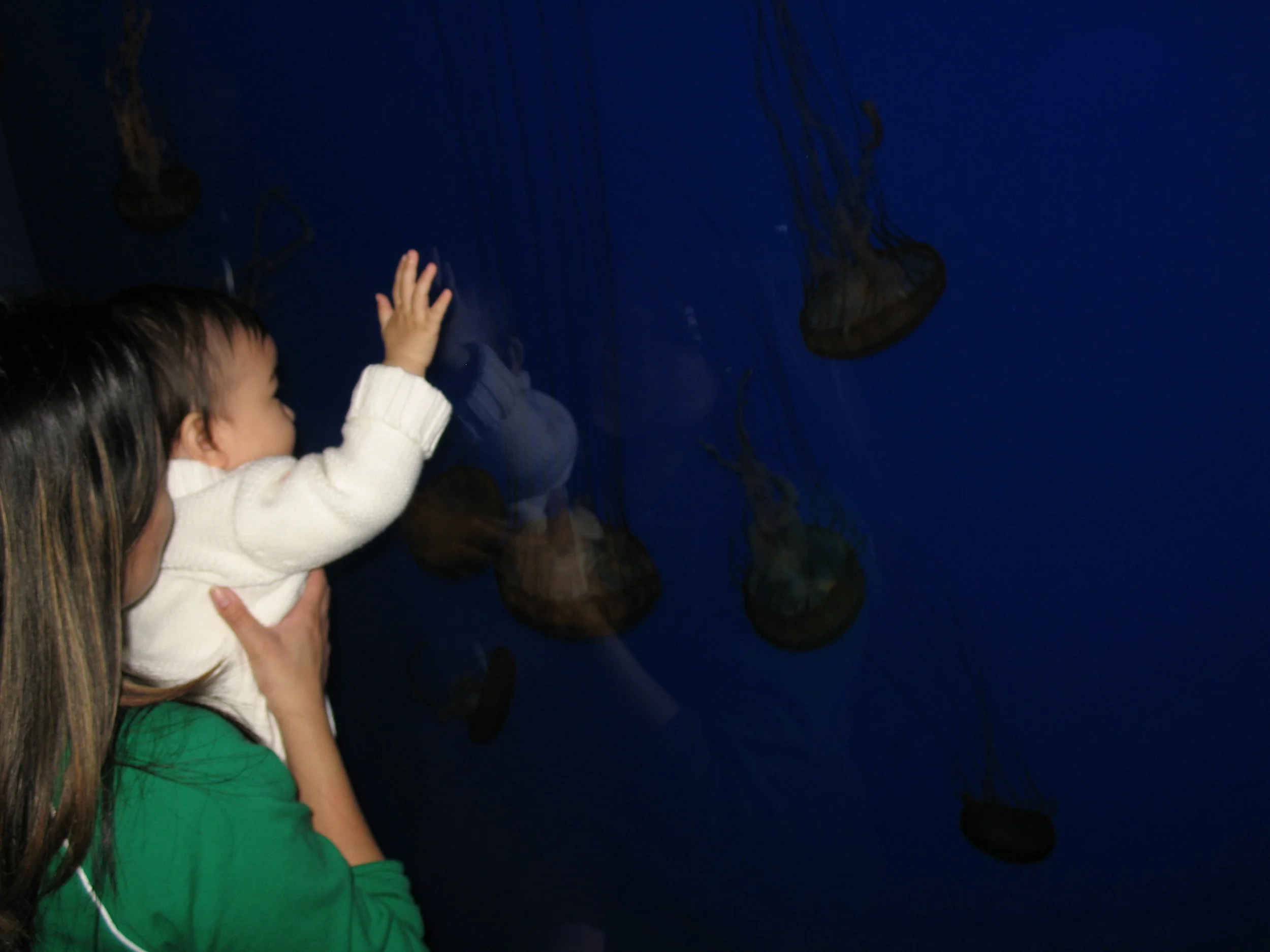 Re-learning Things with our Children