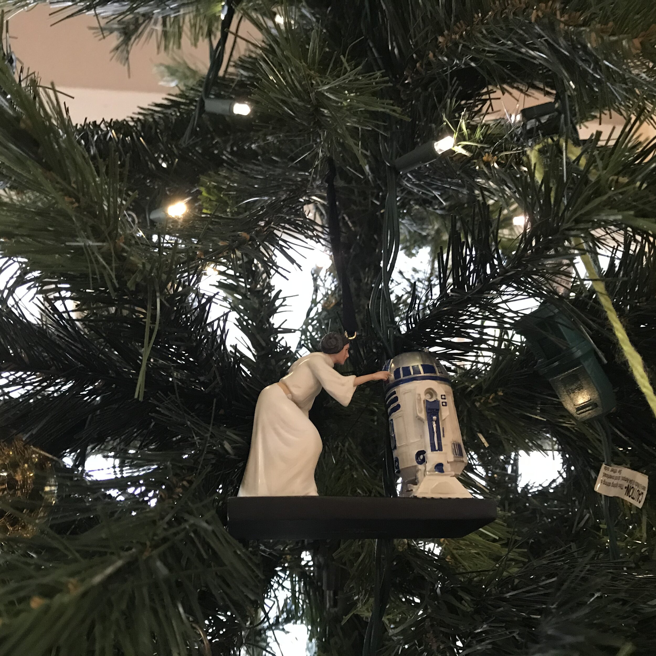 Dr Bookworm Star Wars Ornament.jpg