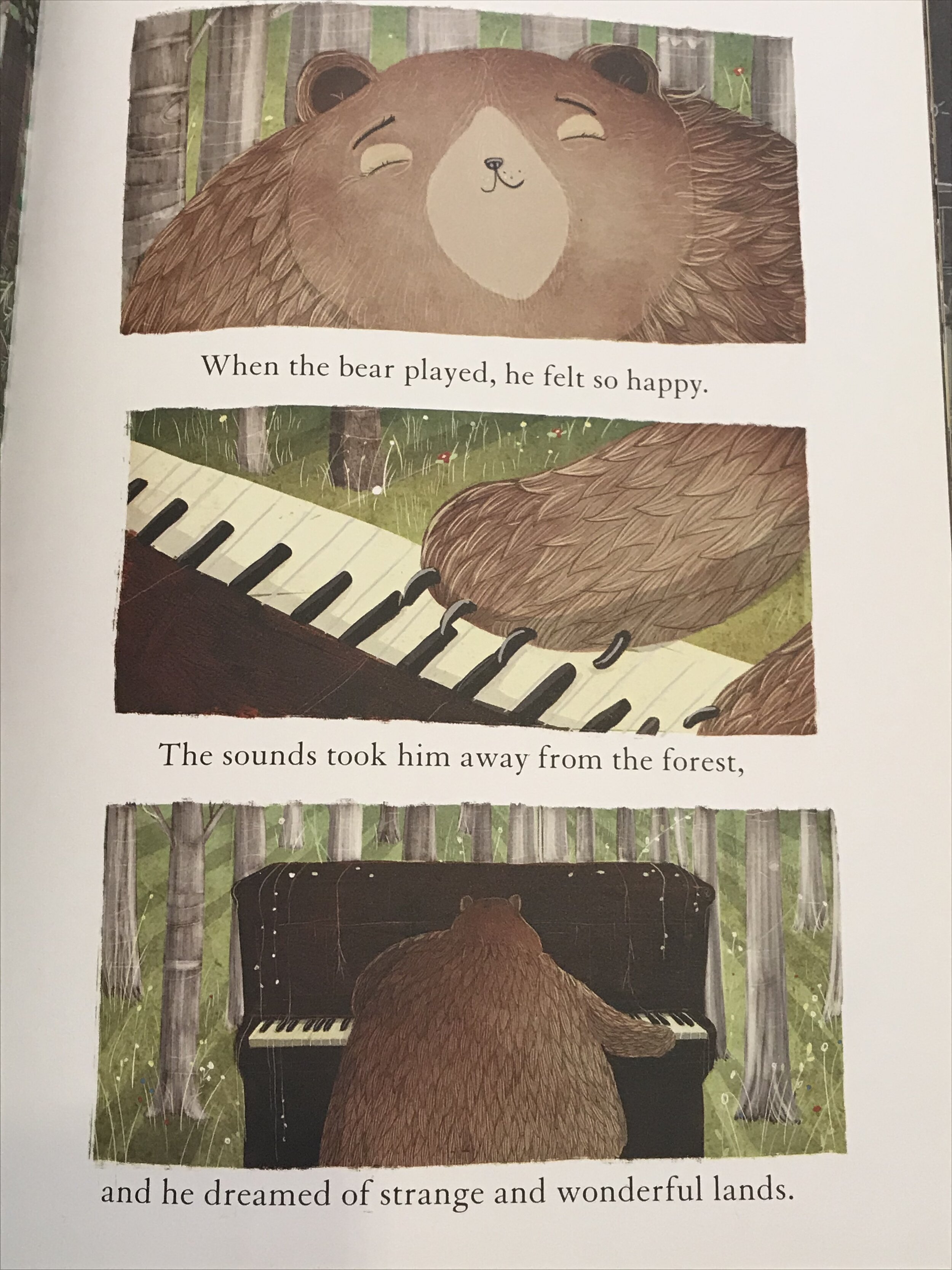 The Bear and the Piano Doctor Bookworm2.jpg