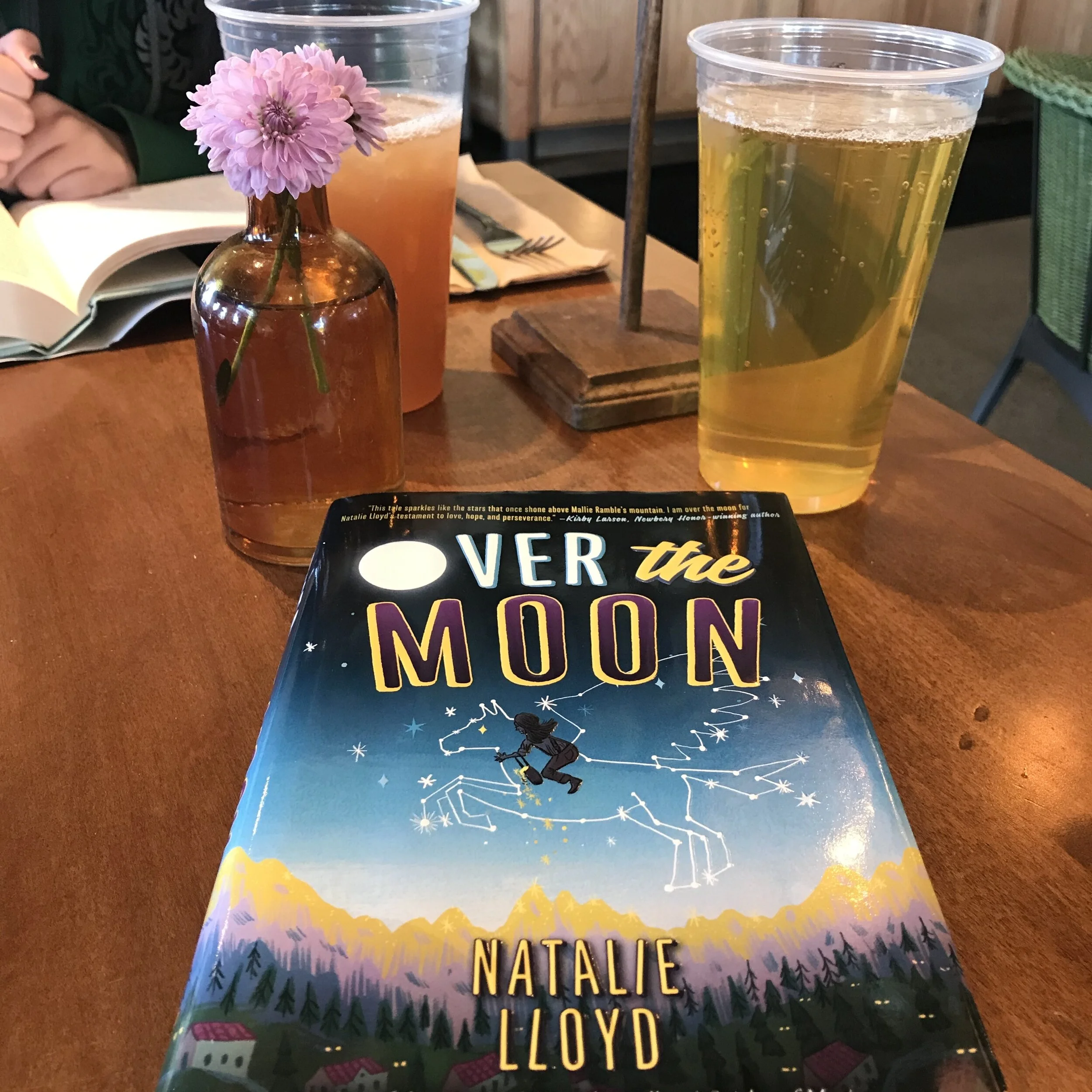 Over the Moon
