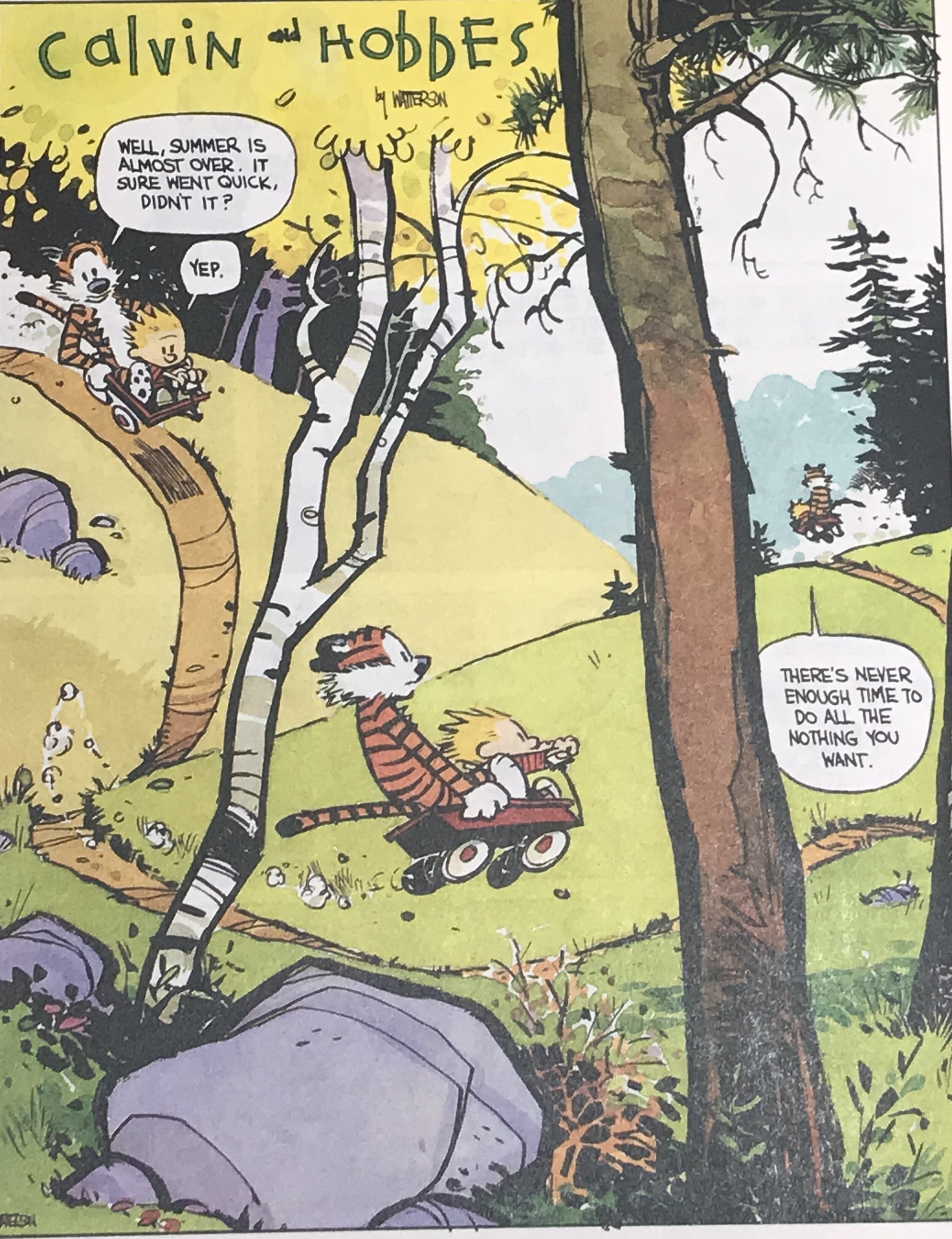 Calvin and Hobbes Lazy Sunday Excerpt3.jpg