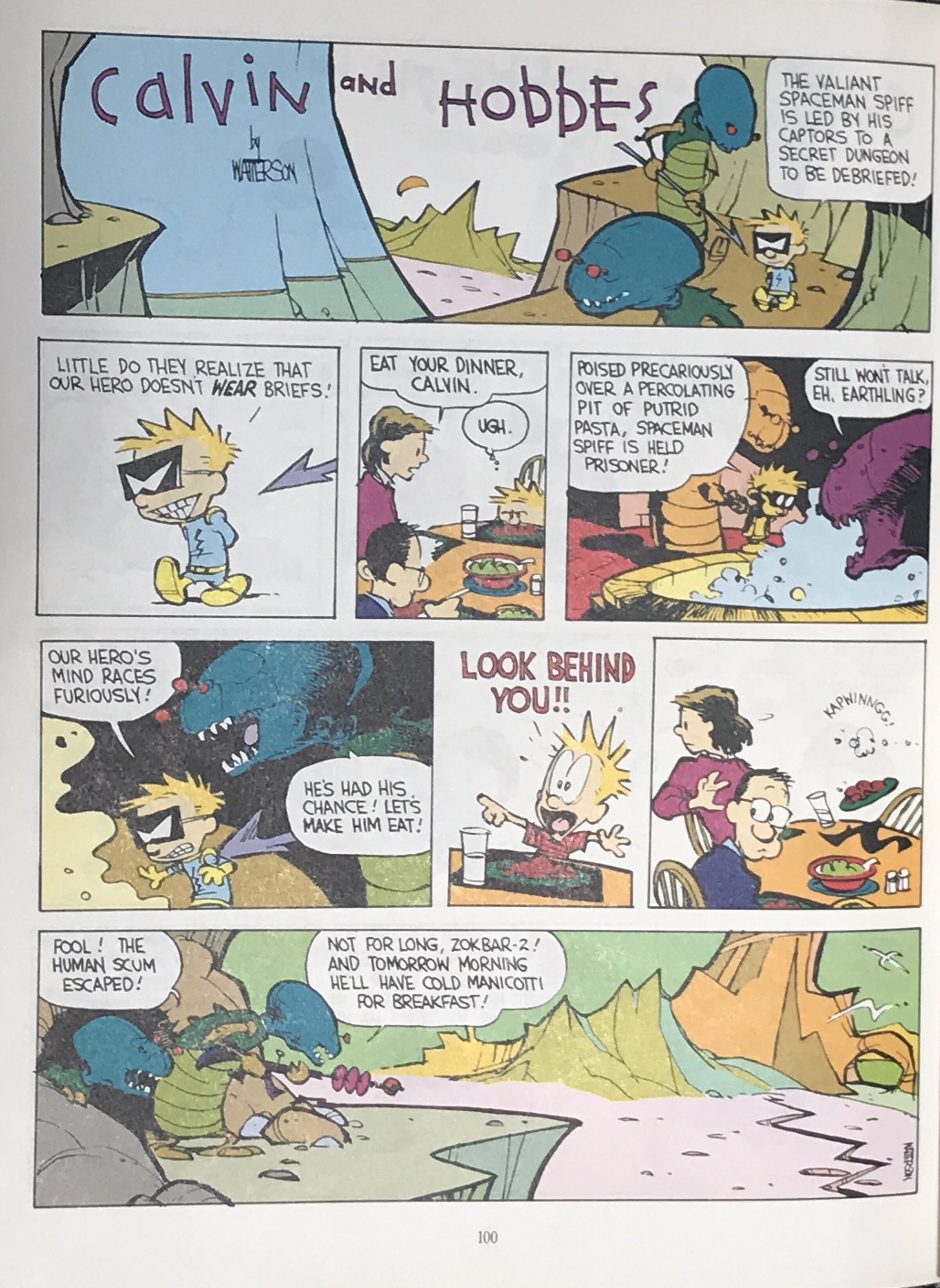 Calvin and Hobbes Lazy Sunday Excerpt1.jpg