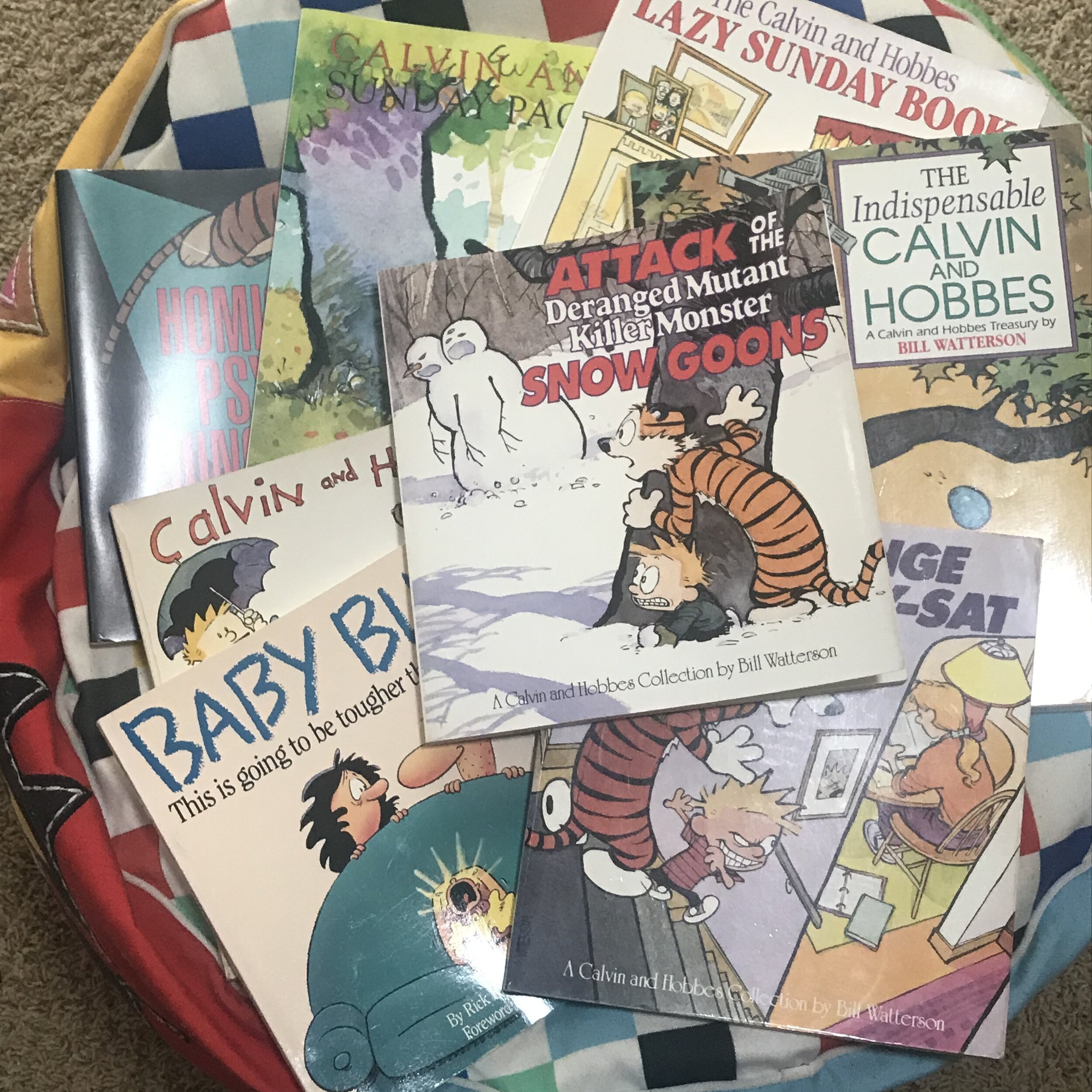 Calvin and Hobbes collection Doctor Bookworm.jpg