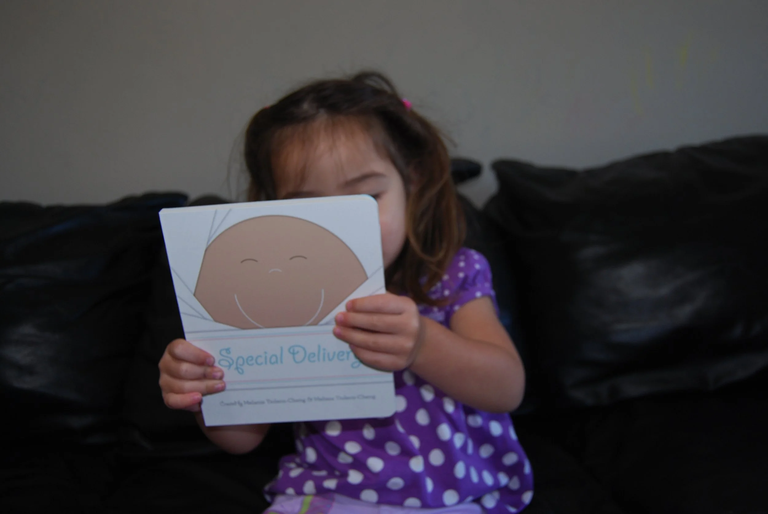 LIttle LIon Special Delivery Book C.jpg