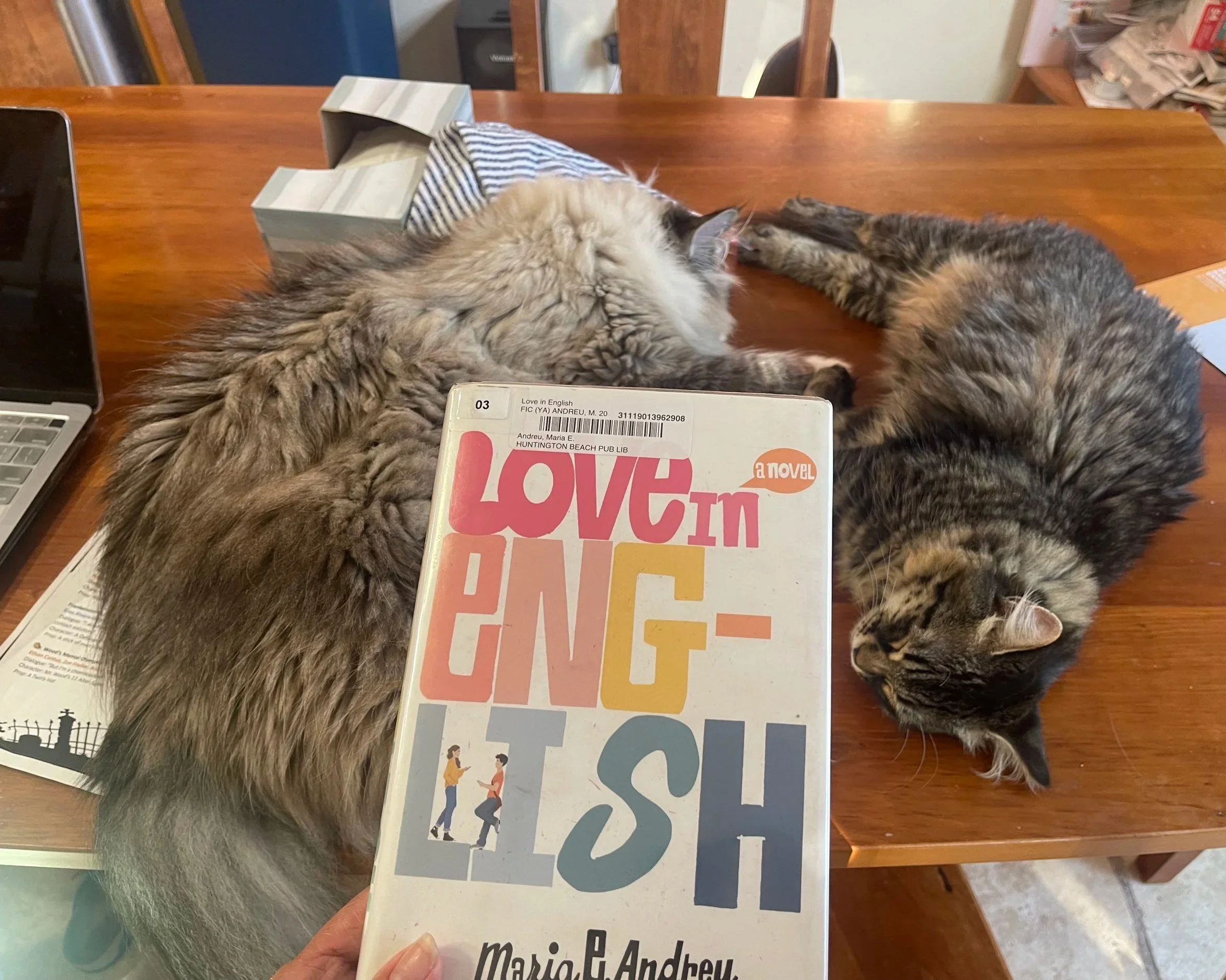Dr+Bookworm+Love+in+English+Cats.jpg