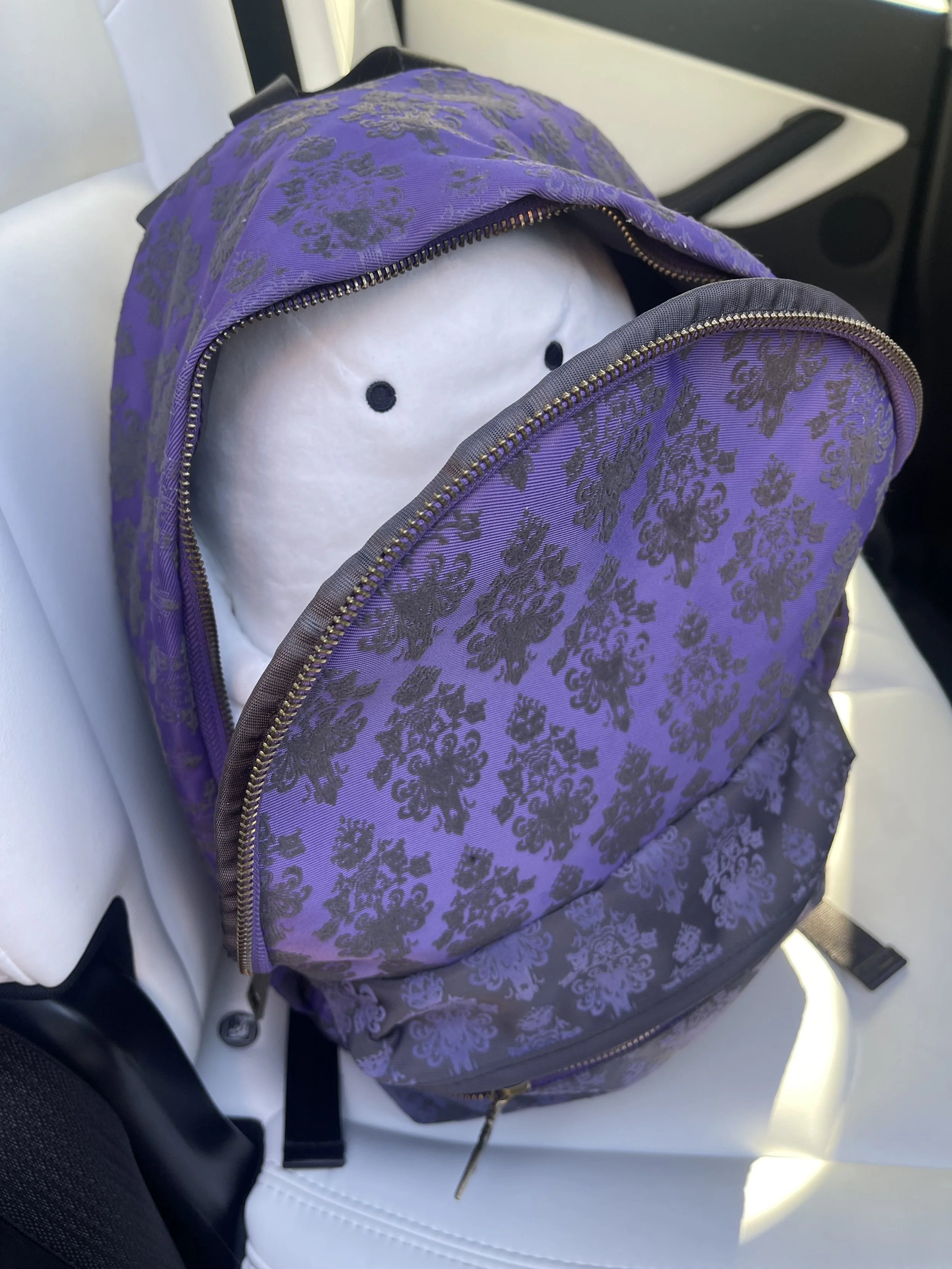 Dr Bookworm Beekle B.jpeg