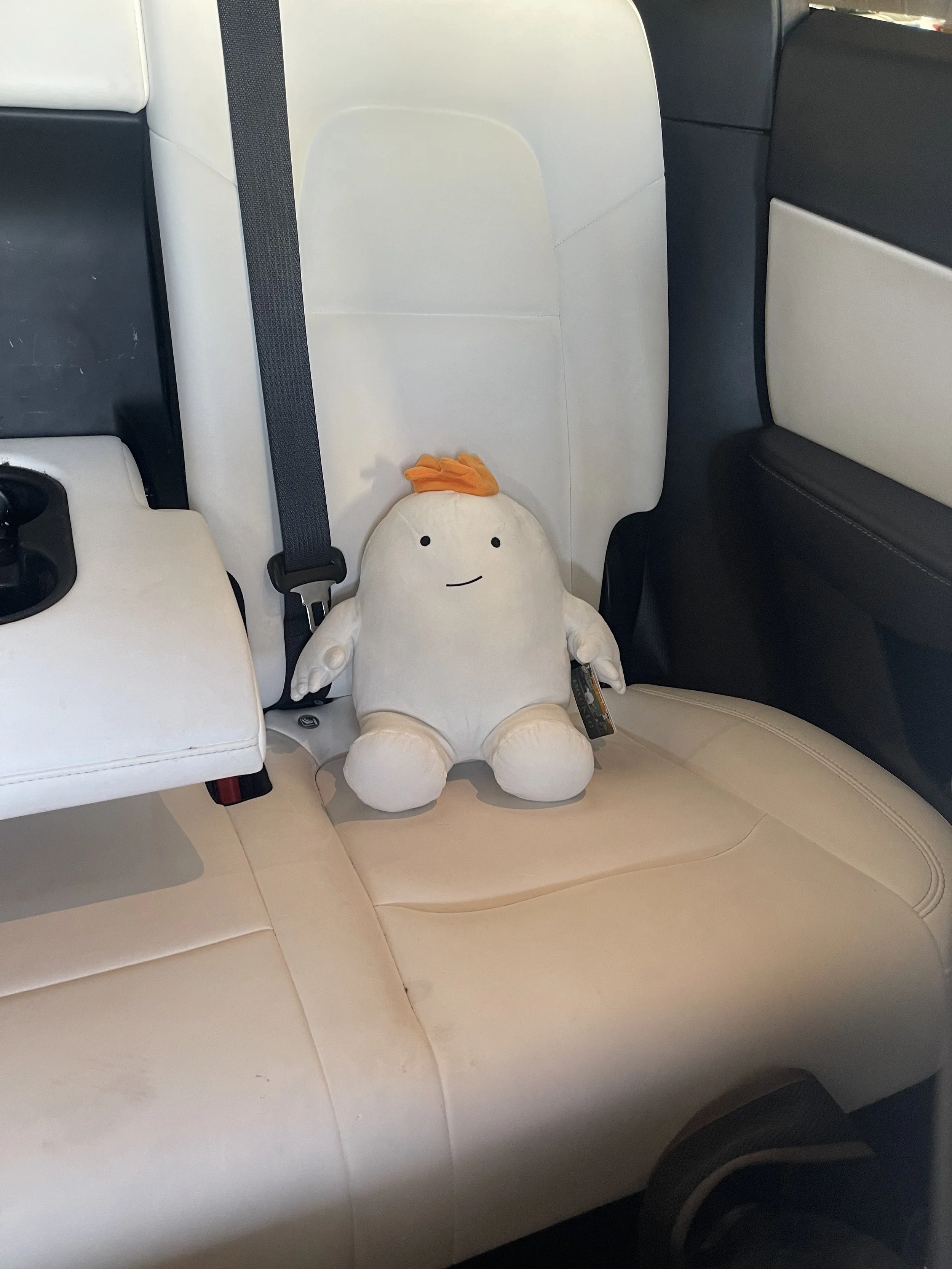 Dr Bookworm Beekle C.jpeg