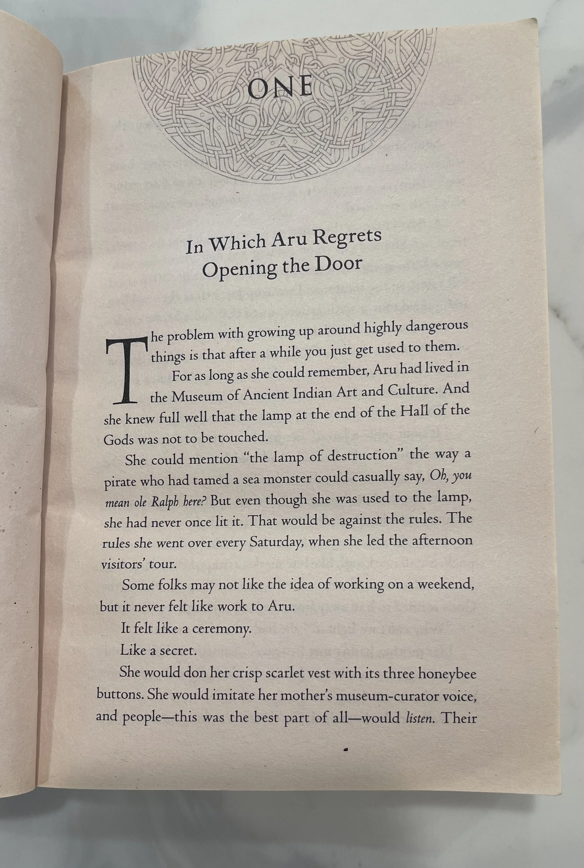 Dr Bookworm Aru Shah First Pages2.jpeg