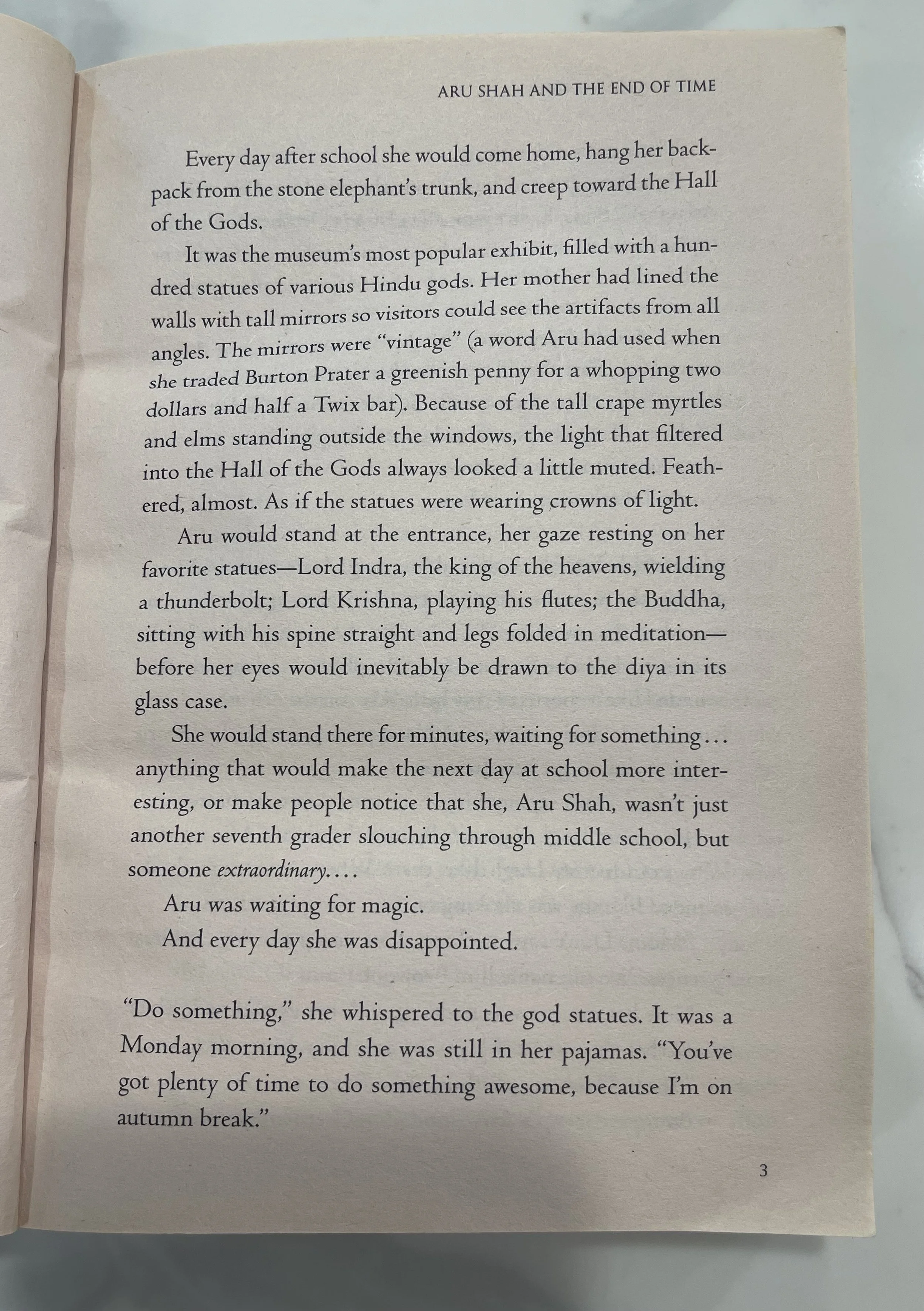 Dr Bookworm Aru Shah First Pages4.jpeg
