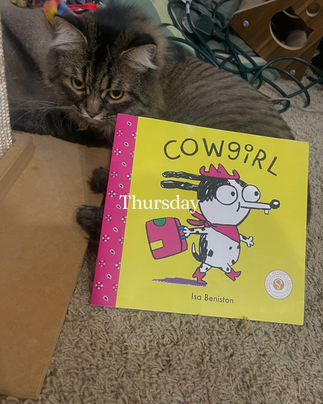 The Books I Read this Week - 6.PNG