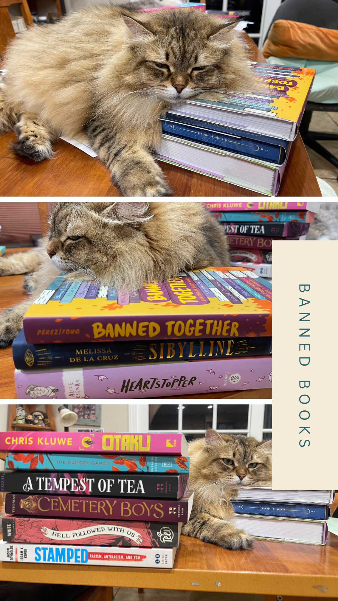 The Books We Donated for Banned Books Week