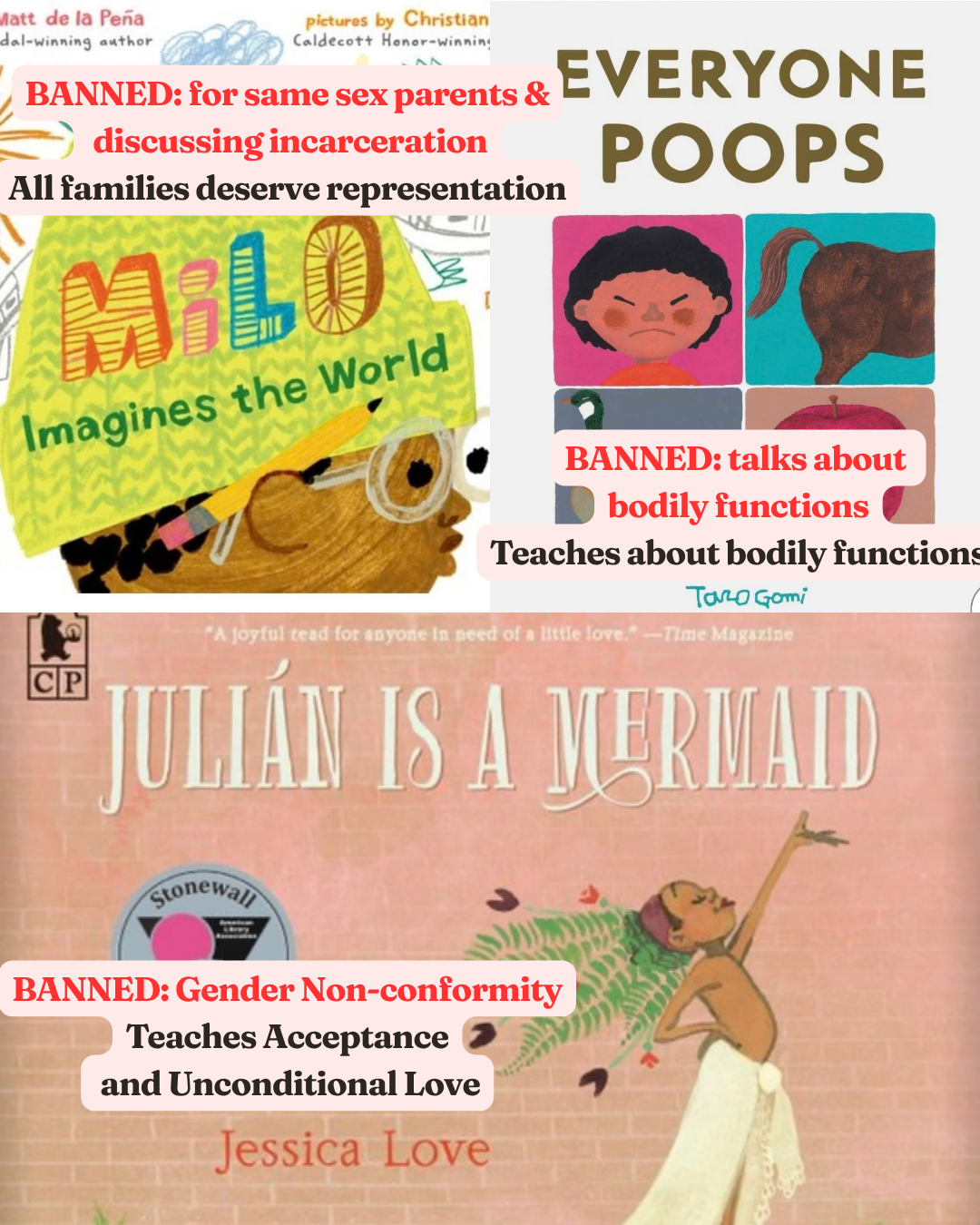 Dr Bookworm Banned Picture books4.png