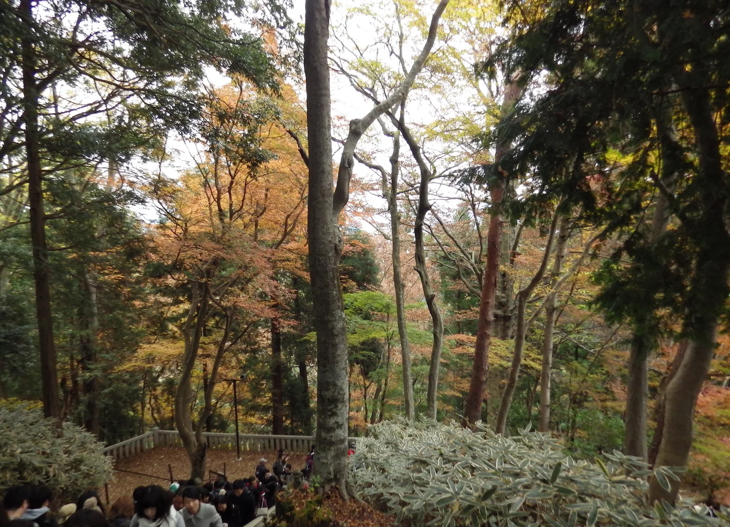 Past the temple, continuing the climb.