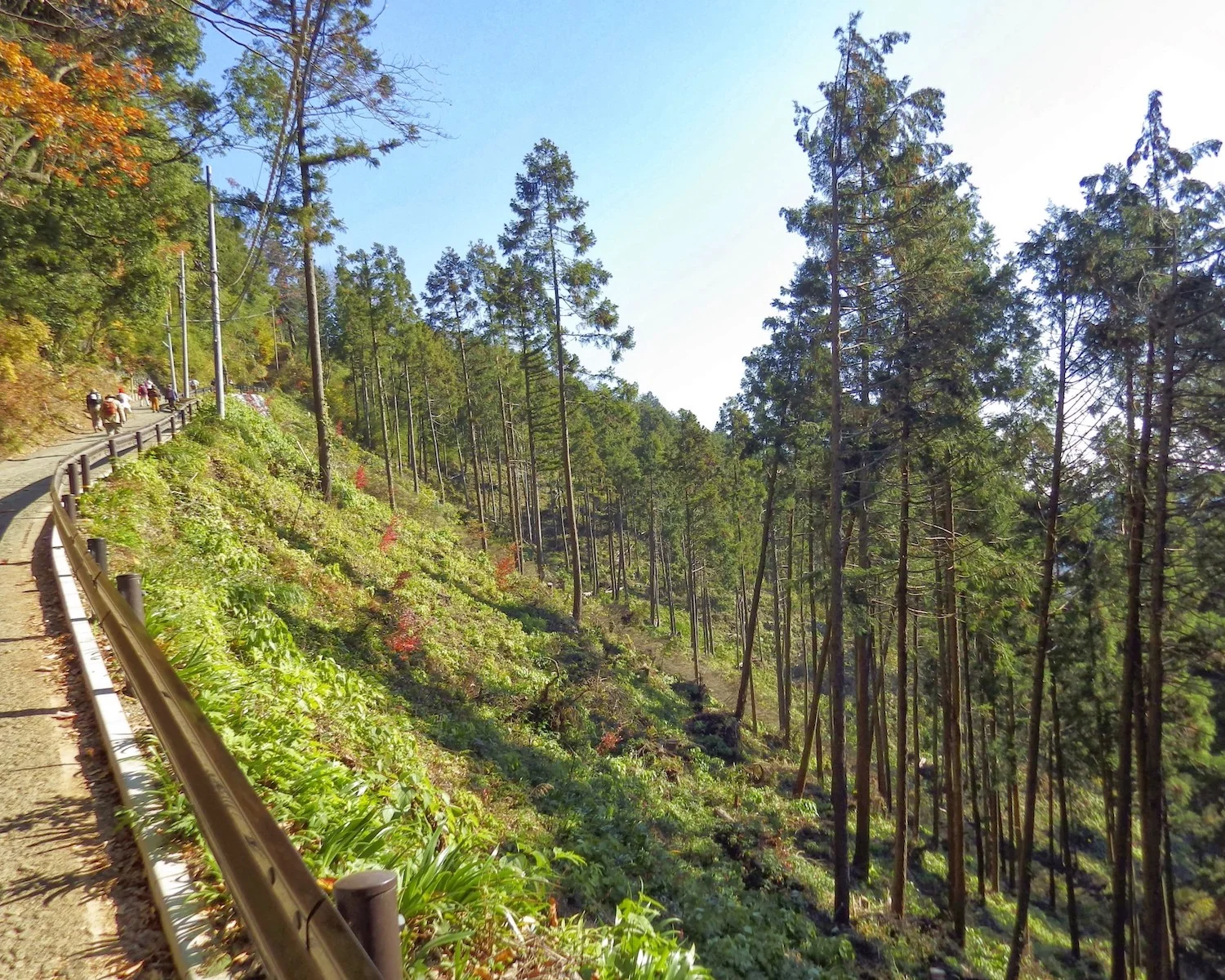 The trail is less clogged on regular weekdays.