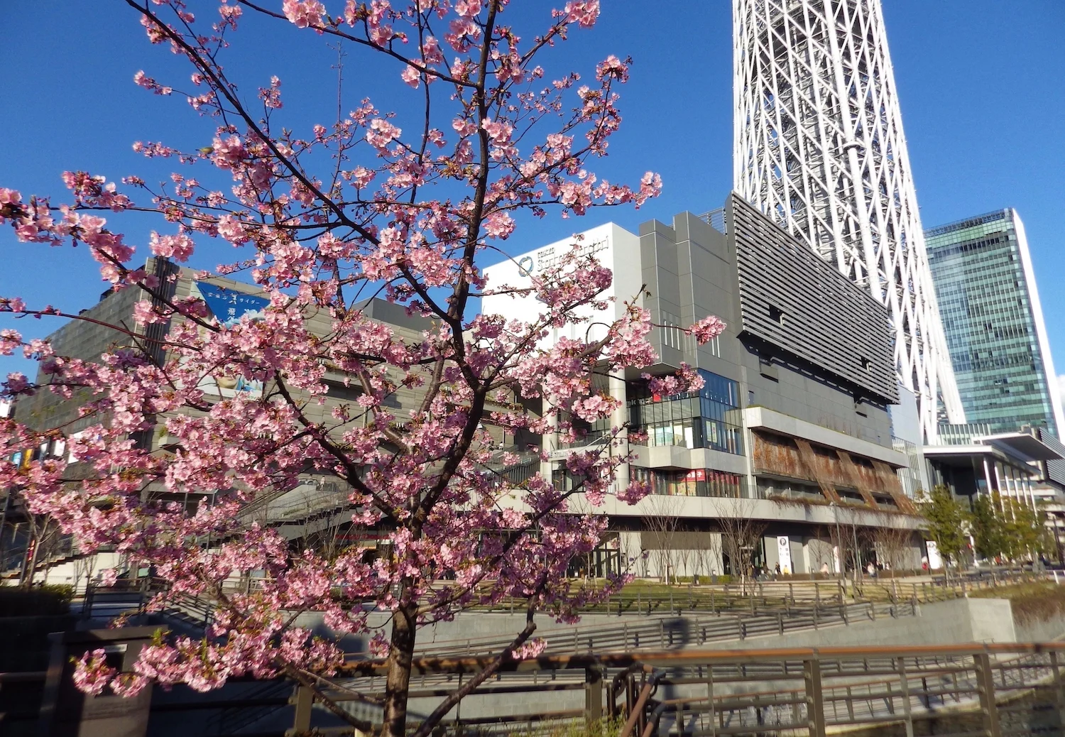 Tokyo_Skytree_003_13x18.jpg