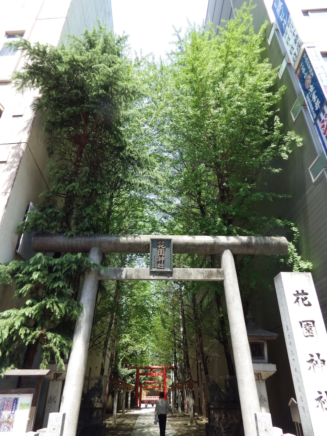 Kabukicho_085_3x4.jpg