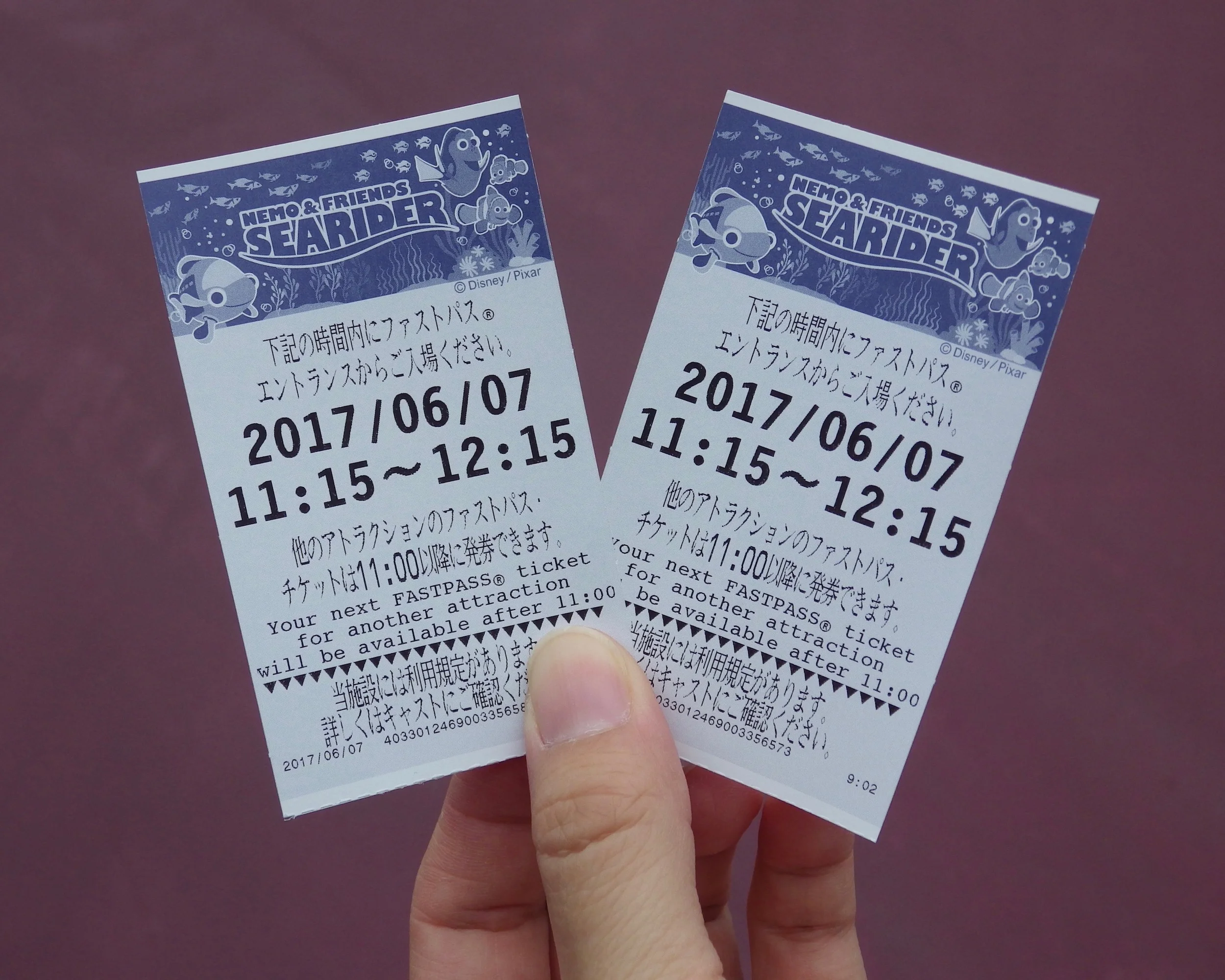 DisneySea-SeaRider-005-20x25.jpg
