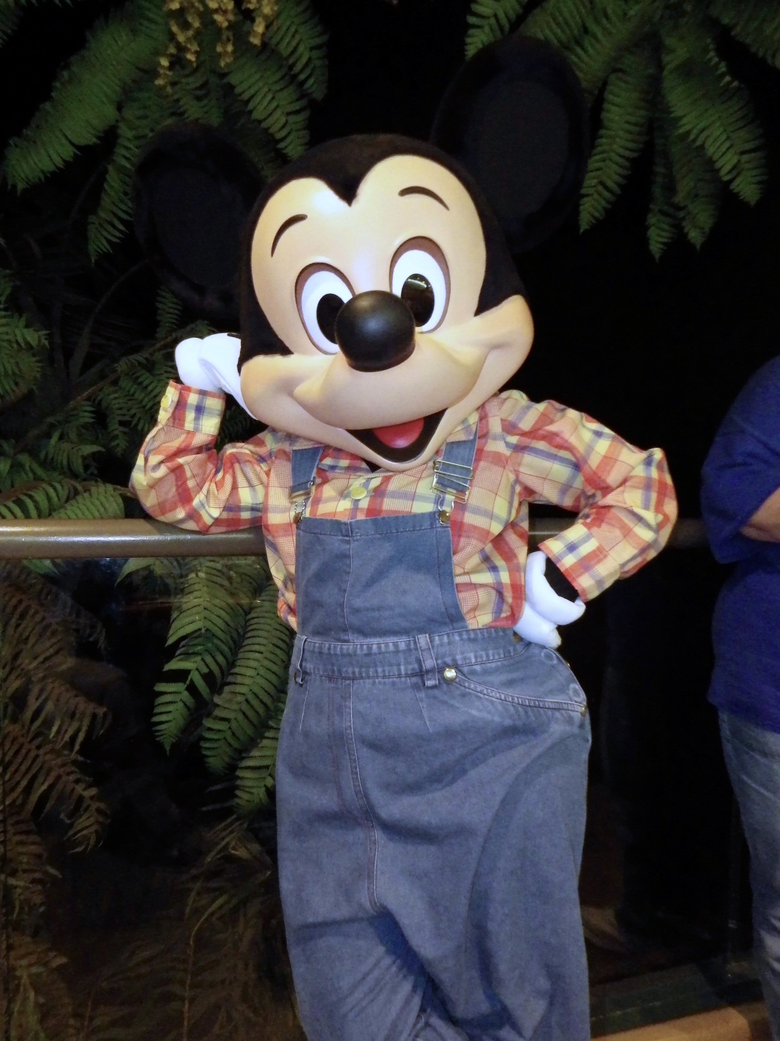Epcot-Future-World-West-19-The-Land-Garden-Grill-Restaurant.jpeg