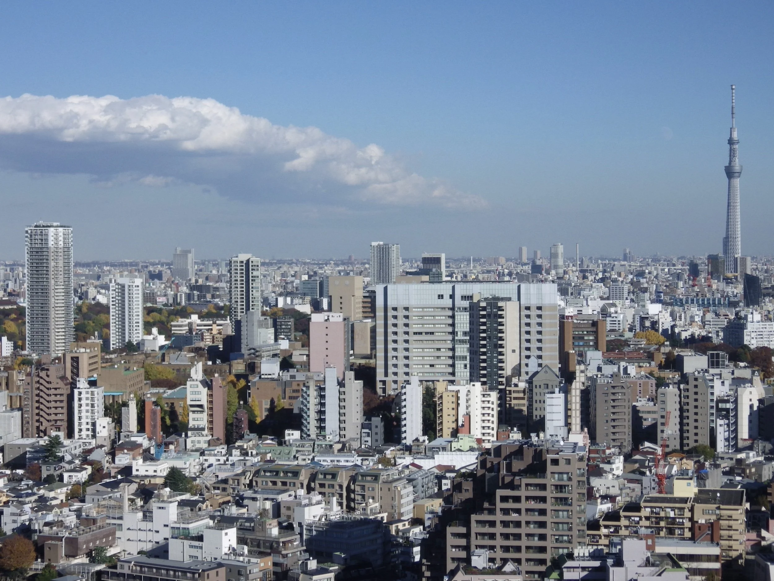 Tokyo-Dome-City-041-Bunkyo-Civic-Center-Observation-Deck.jpg