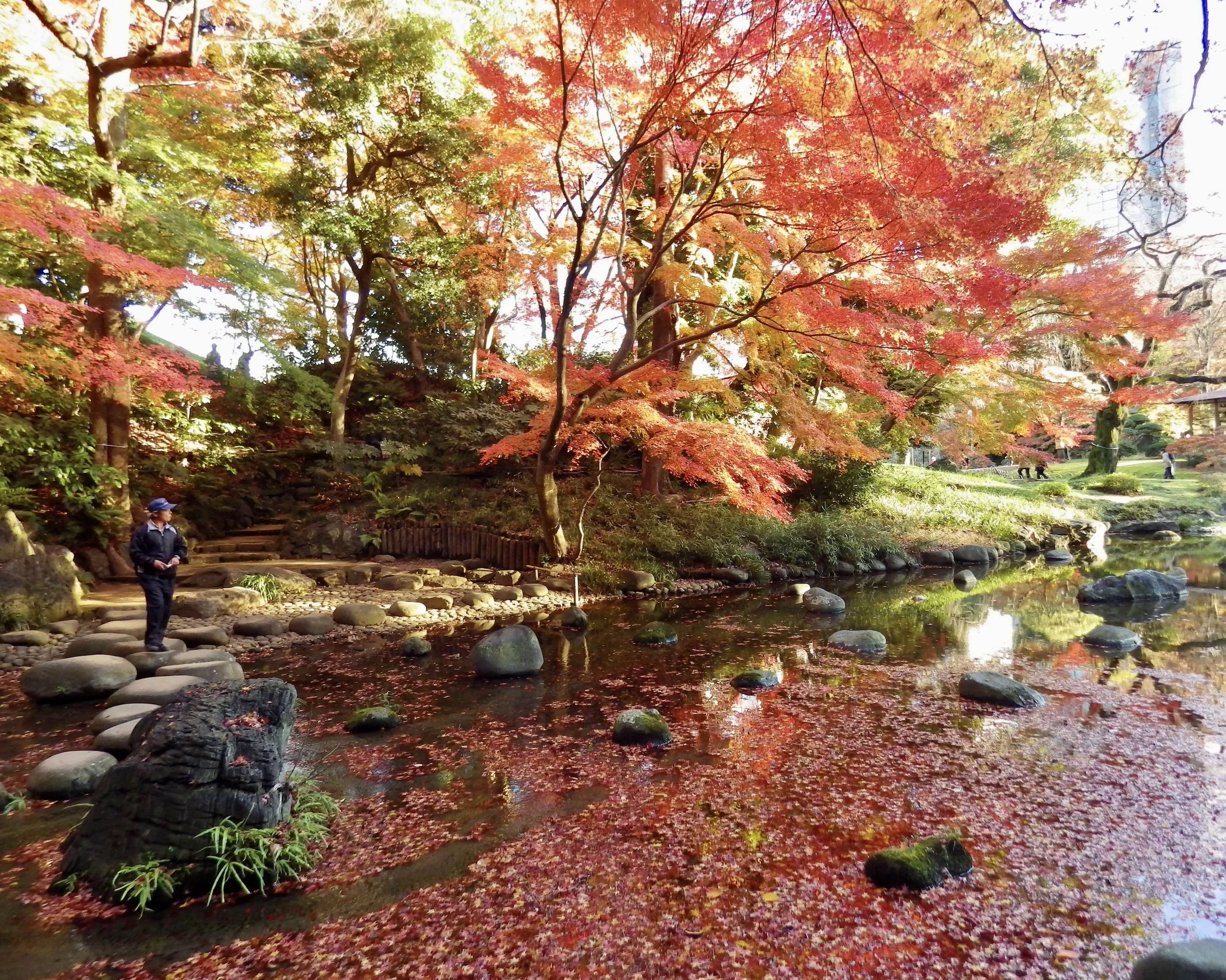 Tokyo-Dome-City-046-Koishikawa-Korakuen.jpg