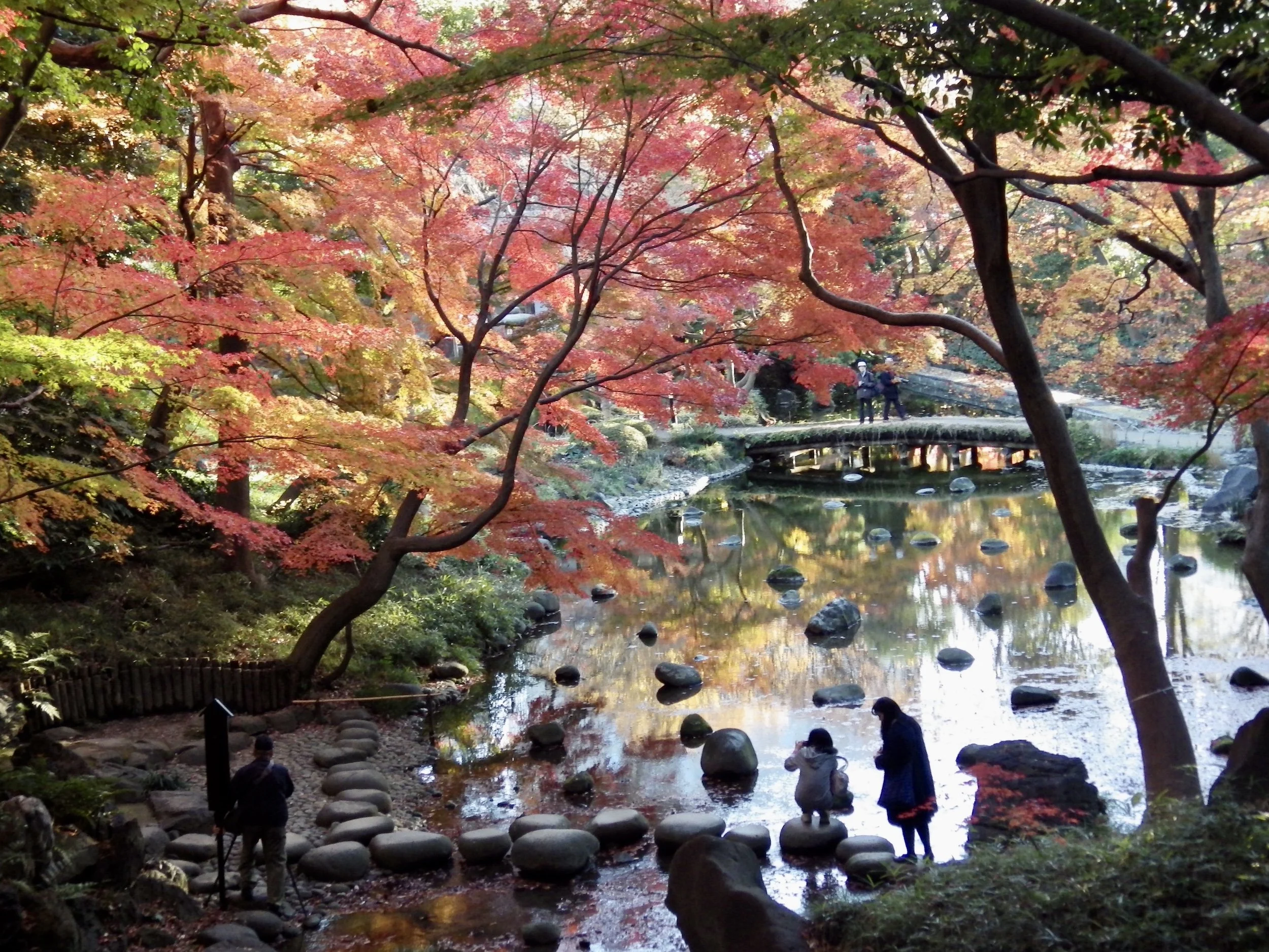 Tokyo-Dome-City-048-Koishikawa-Korakuen.jpg