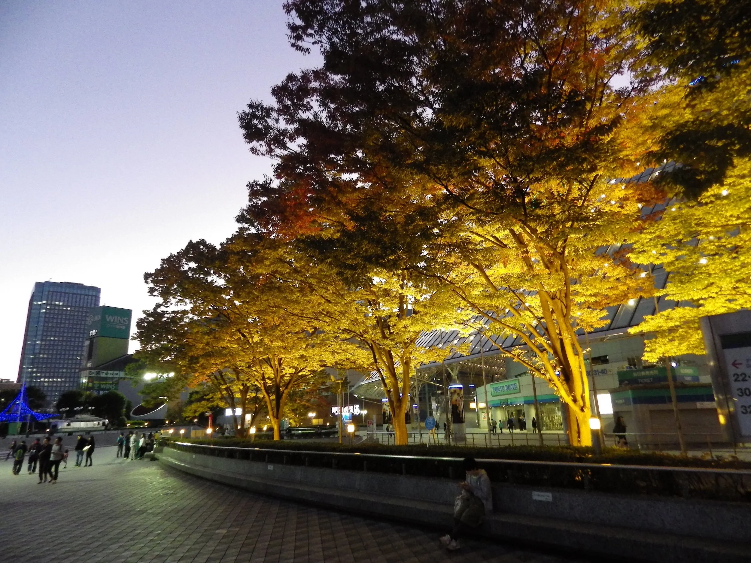 Tokyo-Dome-City-057-Winter-Illumination.jpg
