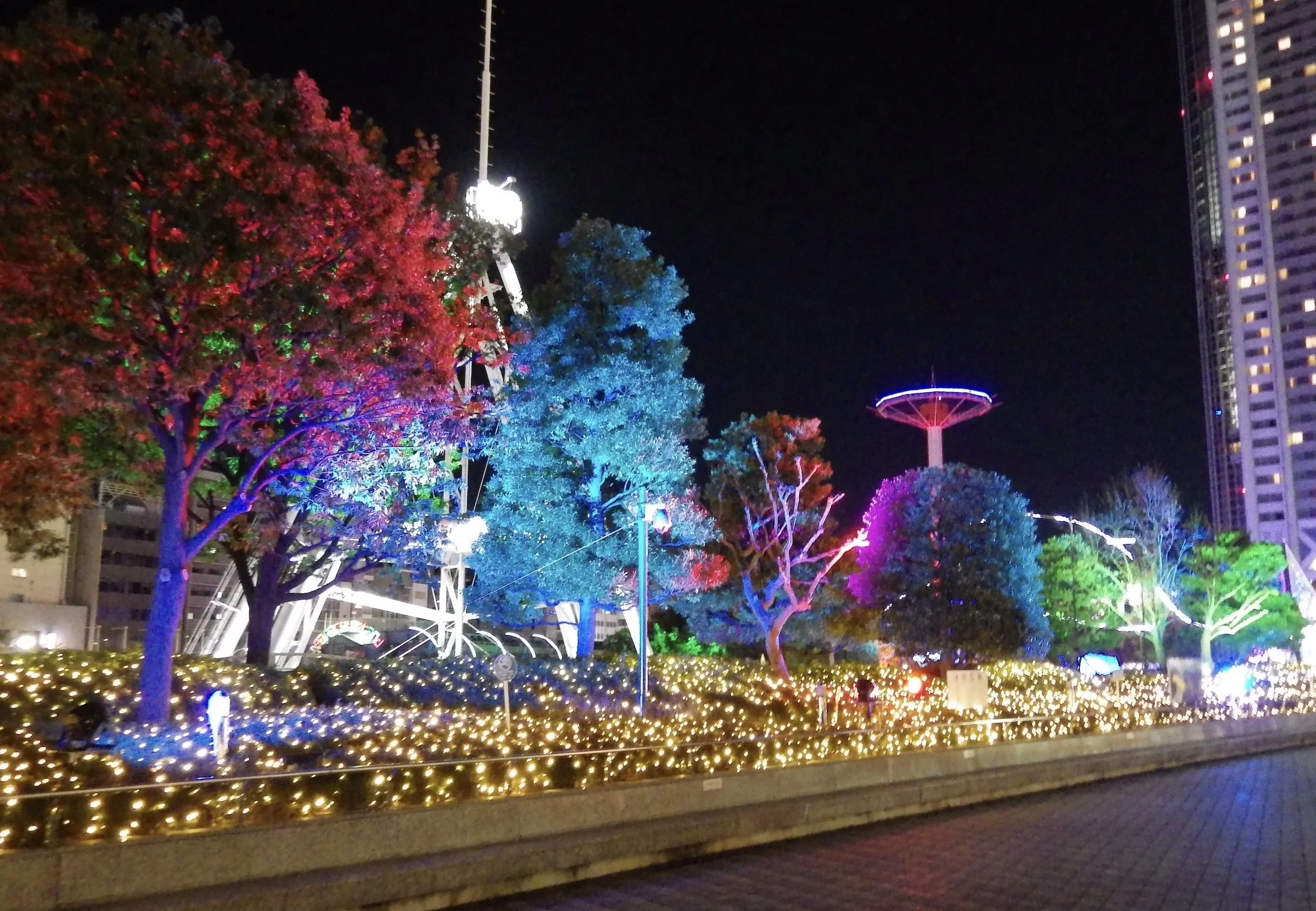 Tokyo-Dome-City-061-Winter-Illumination.jpg