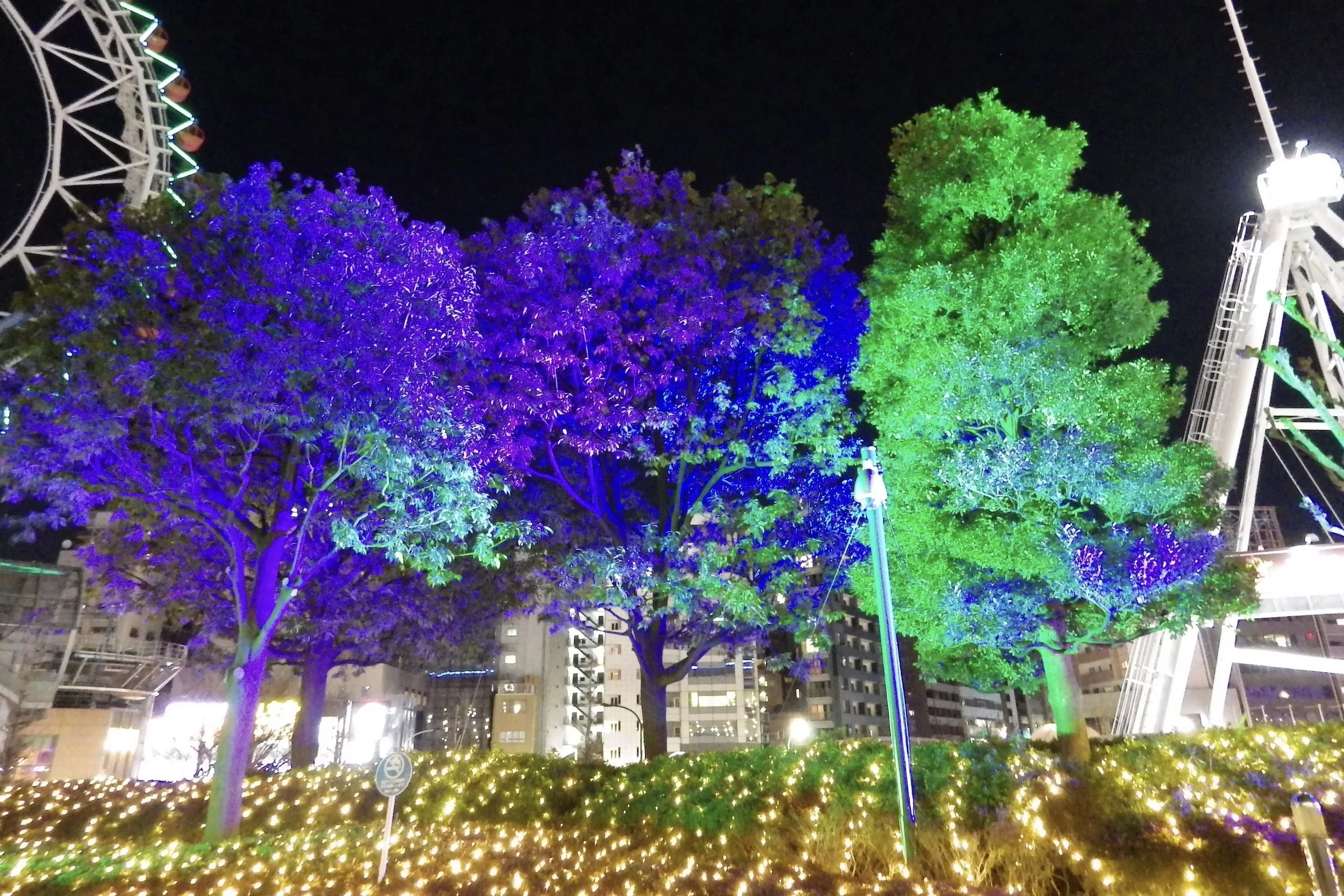 Tokyo-Dome-City-062-Tokyo-Dome-City-Winter-Illumination.jpg