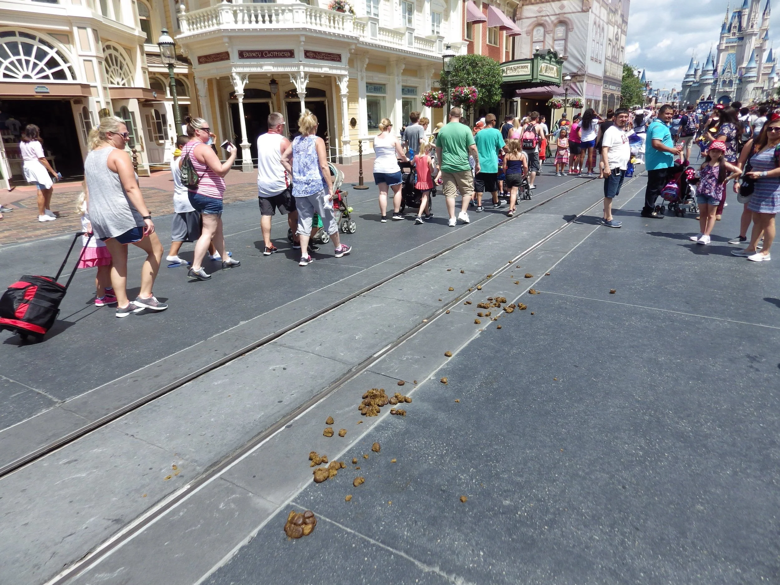 Magic-Kingdom-007.jpeg