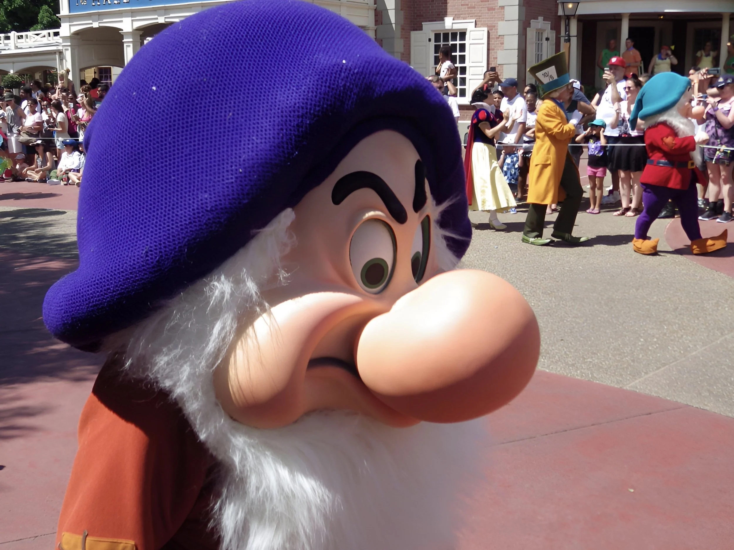 Magic-Kingdom-018.jpg