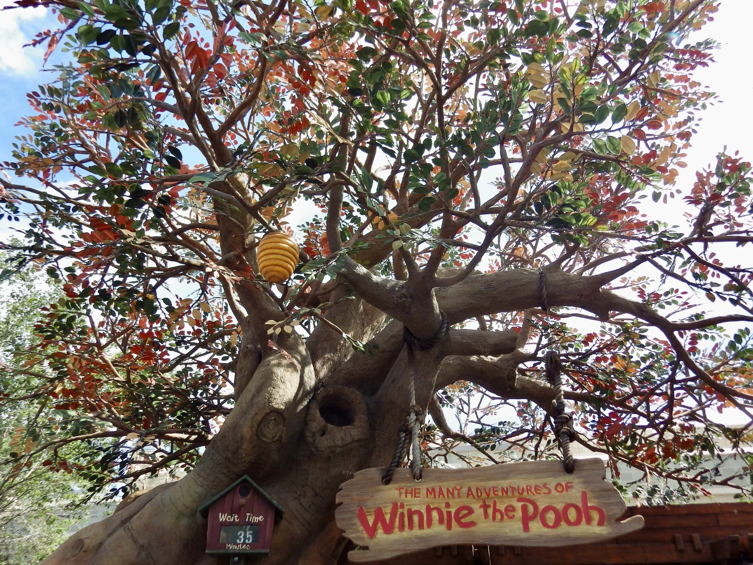 Magic-Kingdom-062.jpg