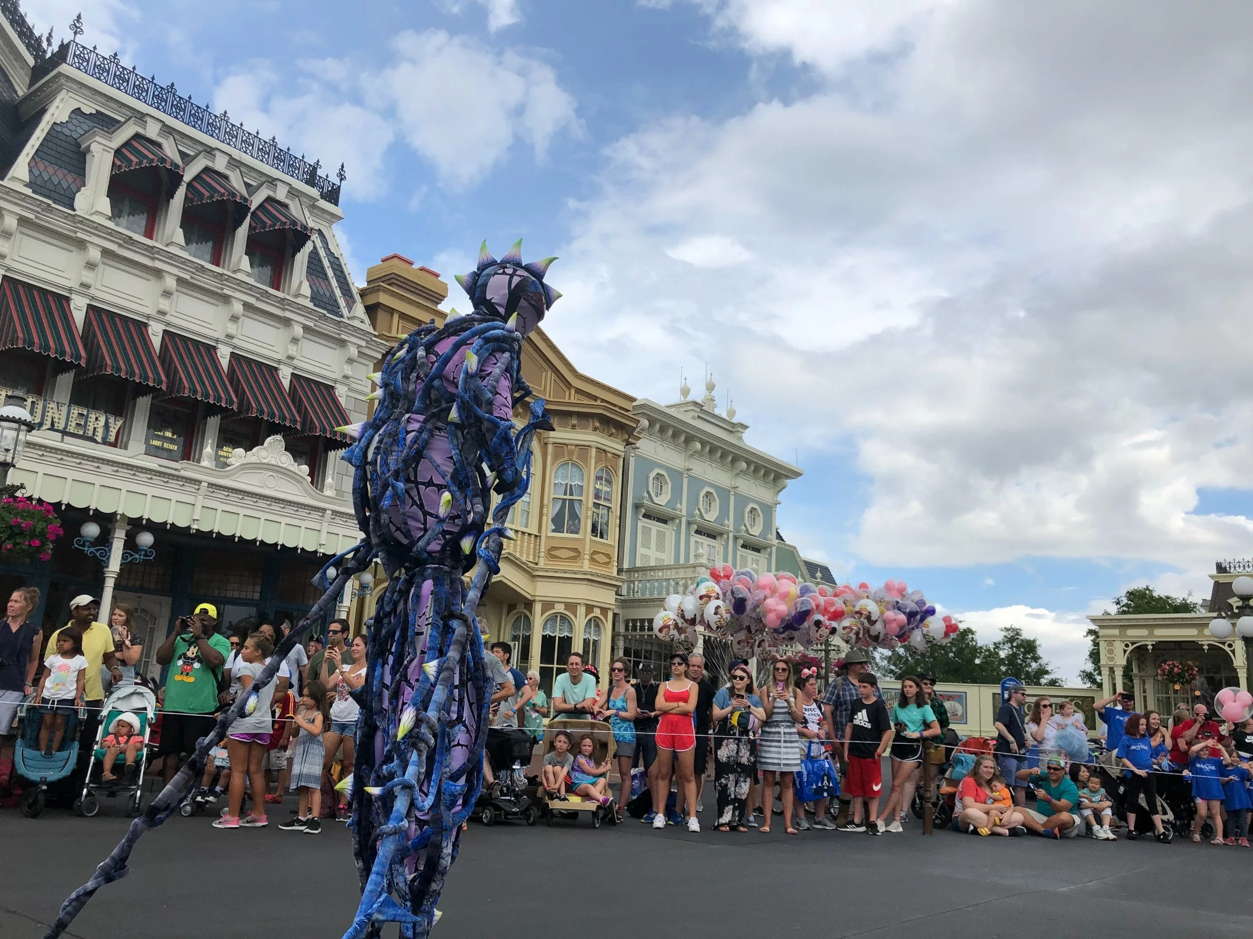 Magic-Kingdom-111.jpg
