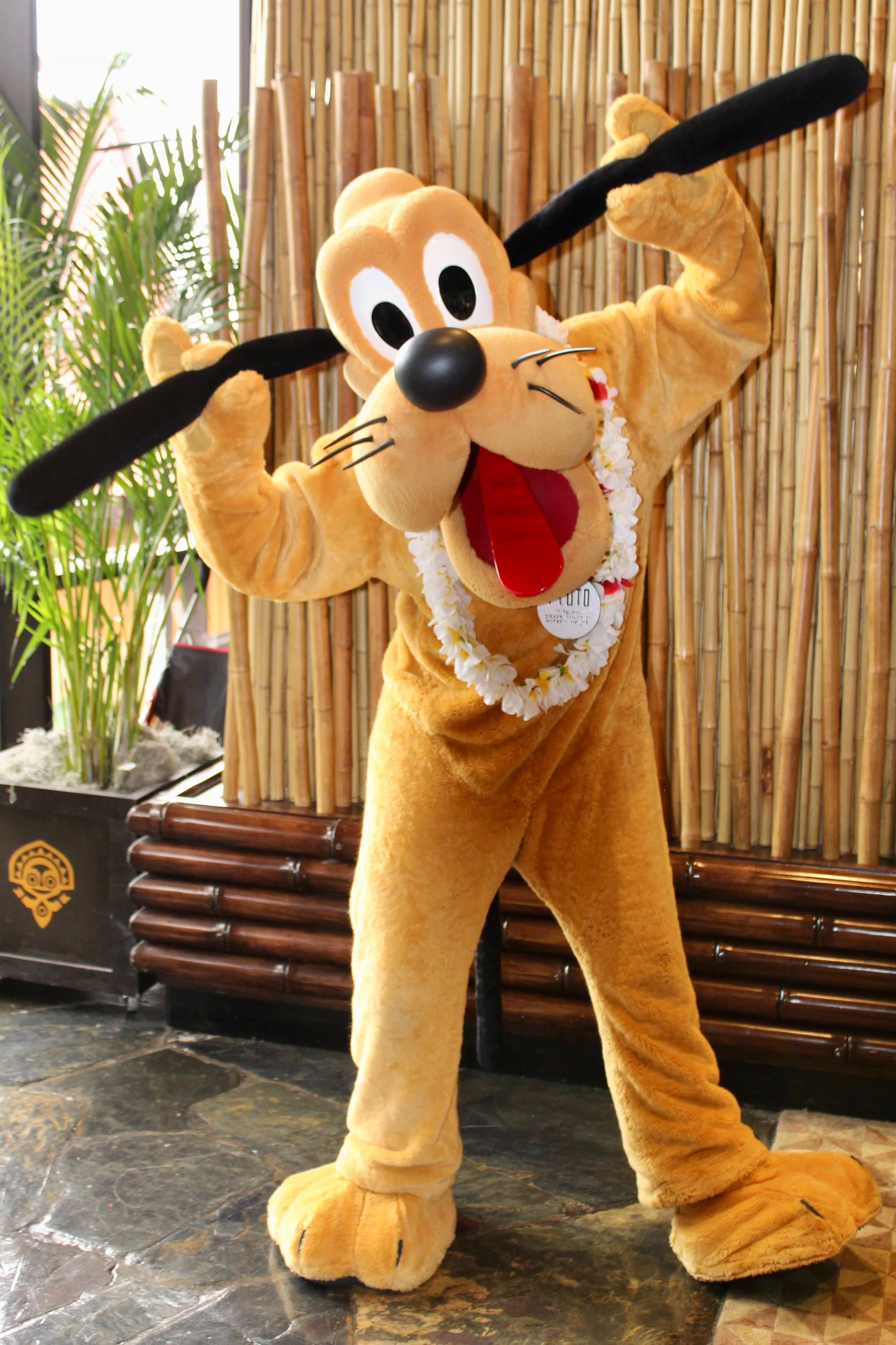 Disney-World-Hotels-041-2x3.jpg