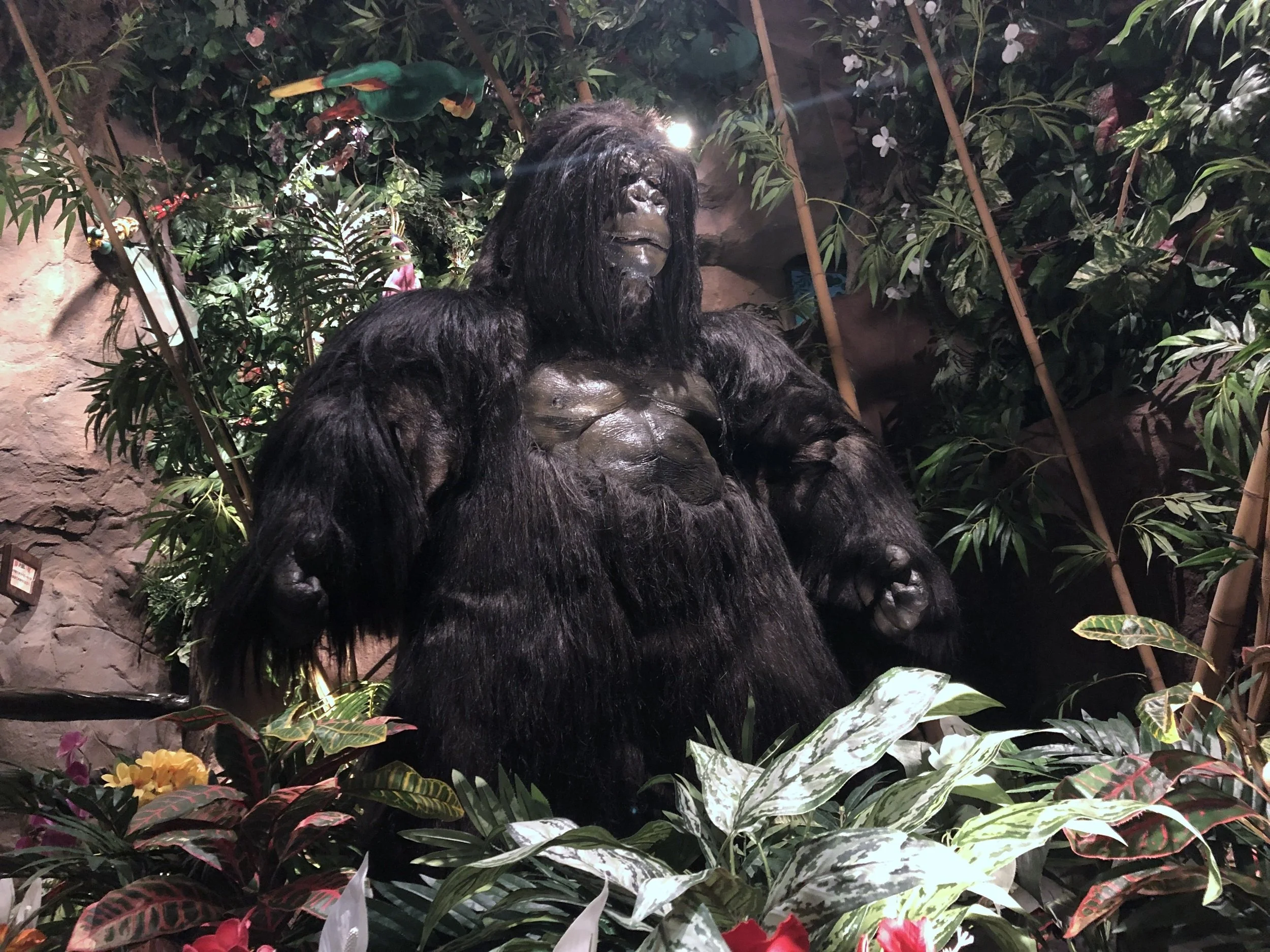 Ikspiari-21-Rainforest-Cafe.jpeg