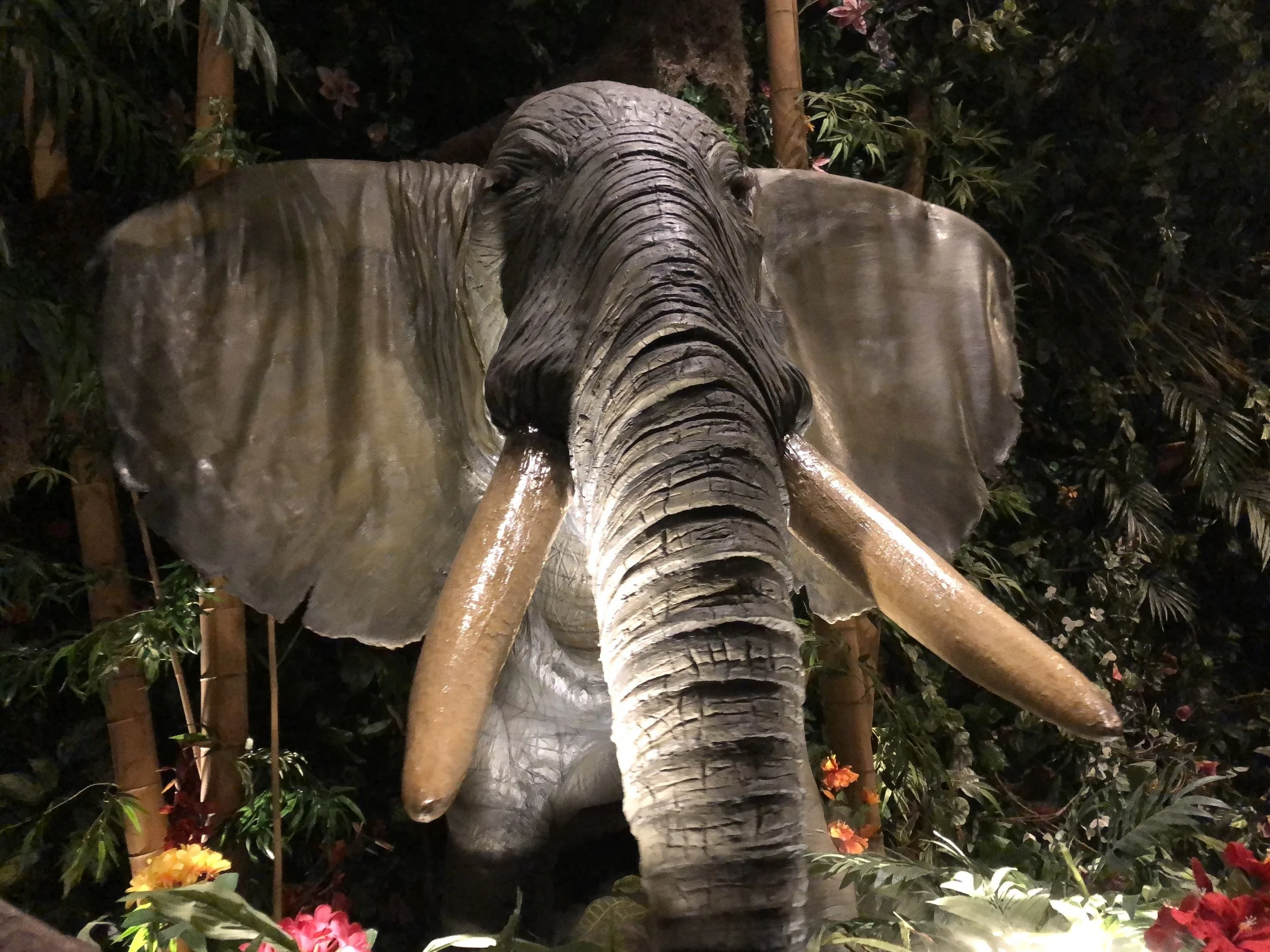 Ikspiari-26-Rainforest-Cafe.jpg