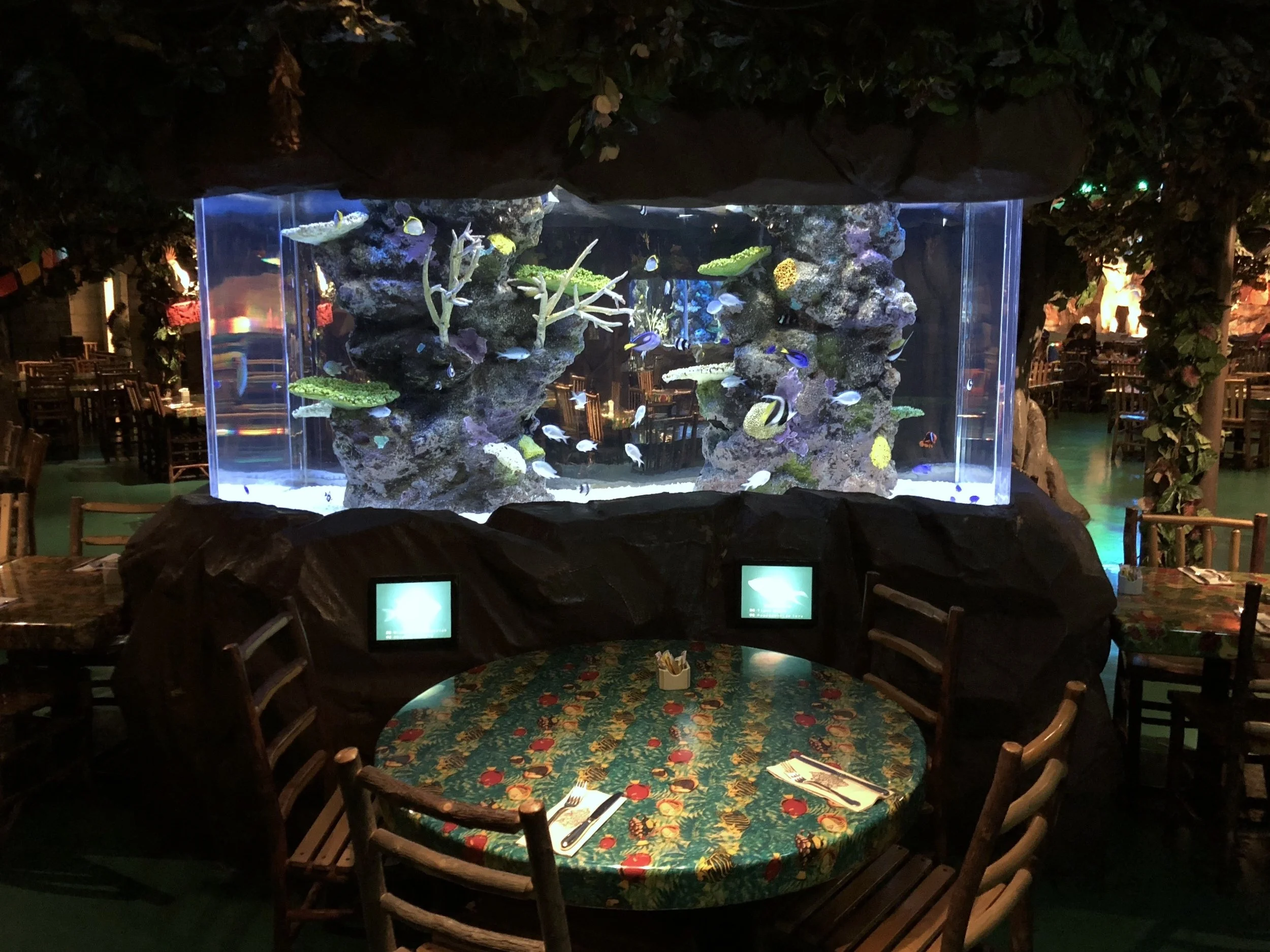 Ikspiari-28-Rainforest-Cafe.jpg